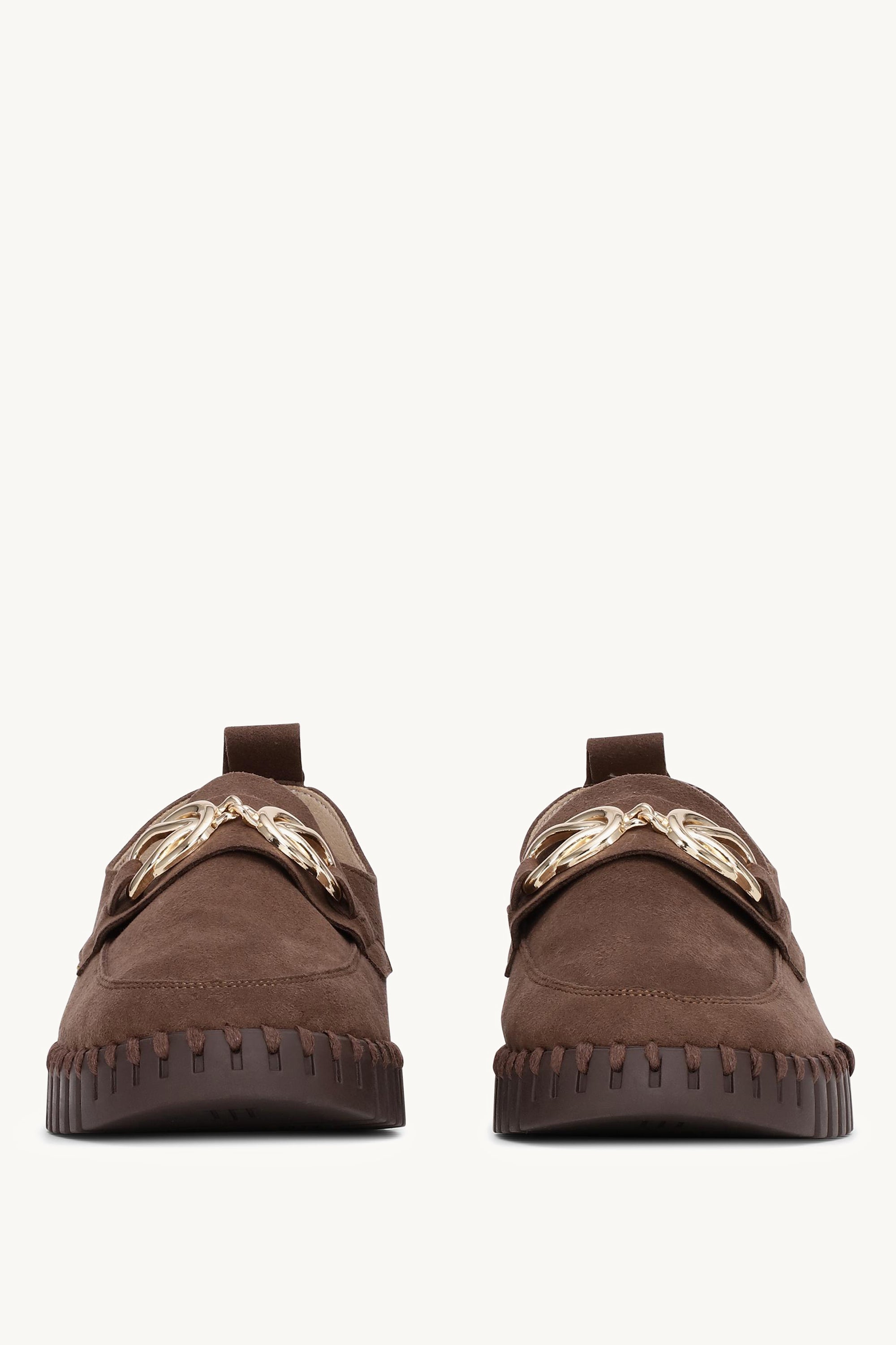 TULIP3976 BROWN BROWN