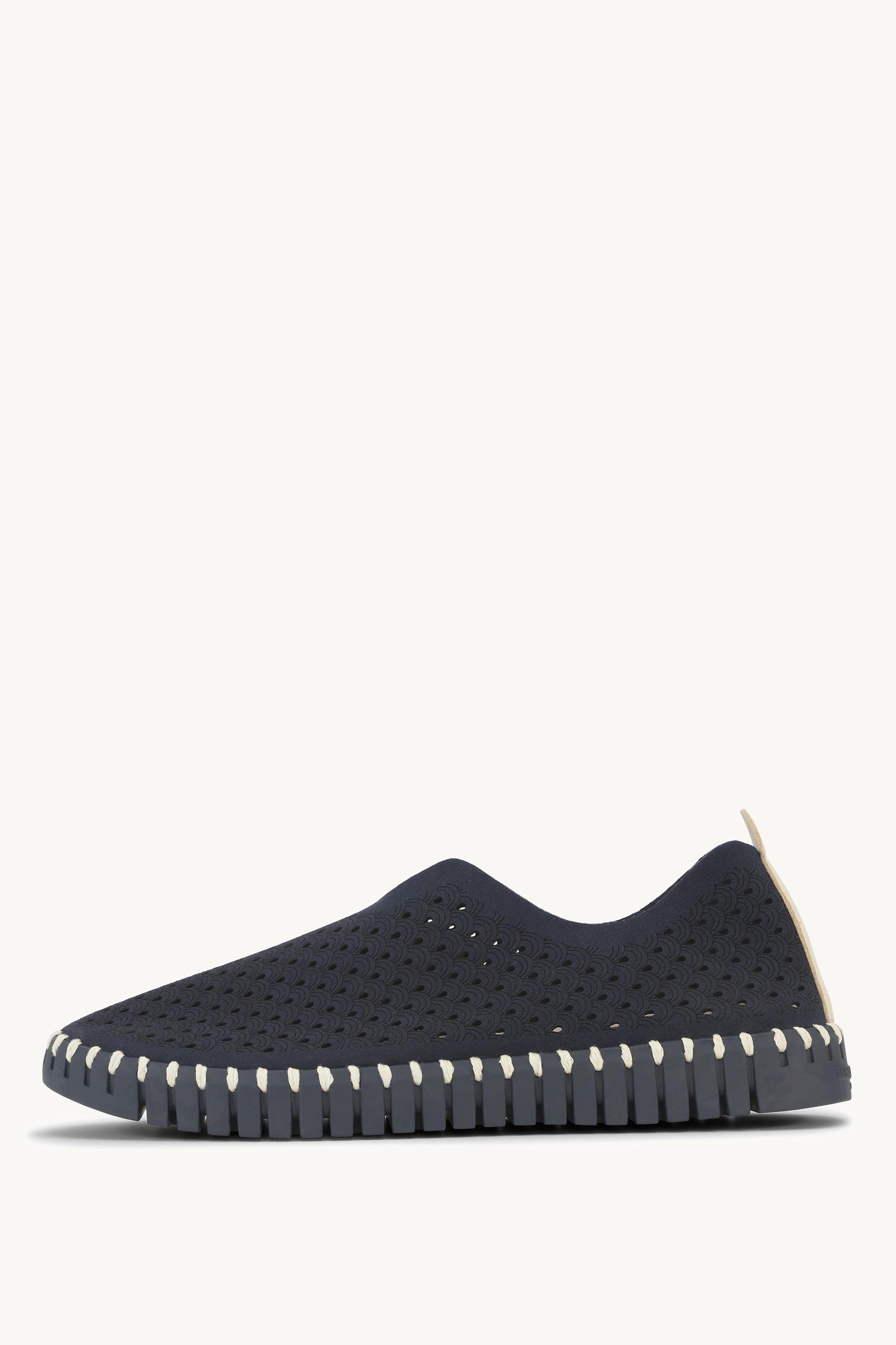 TULIP3977 DARK INDIGO DARK INDIGO
