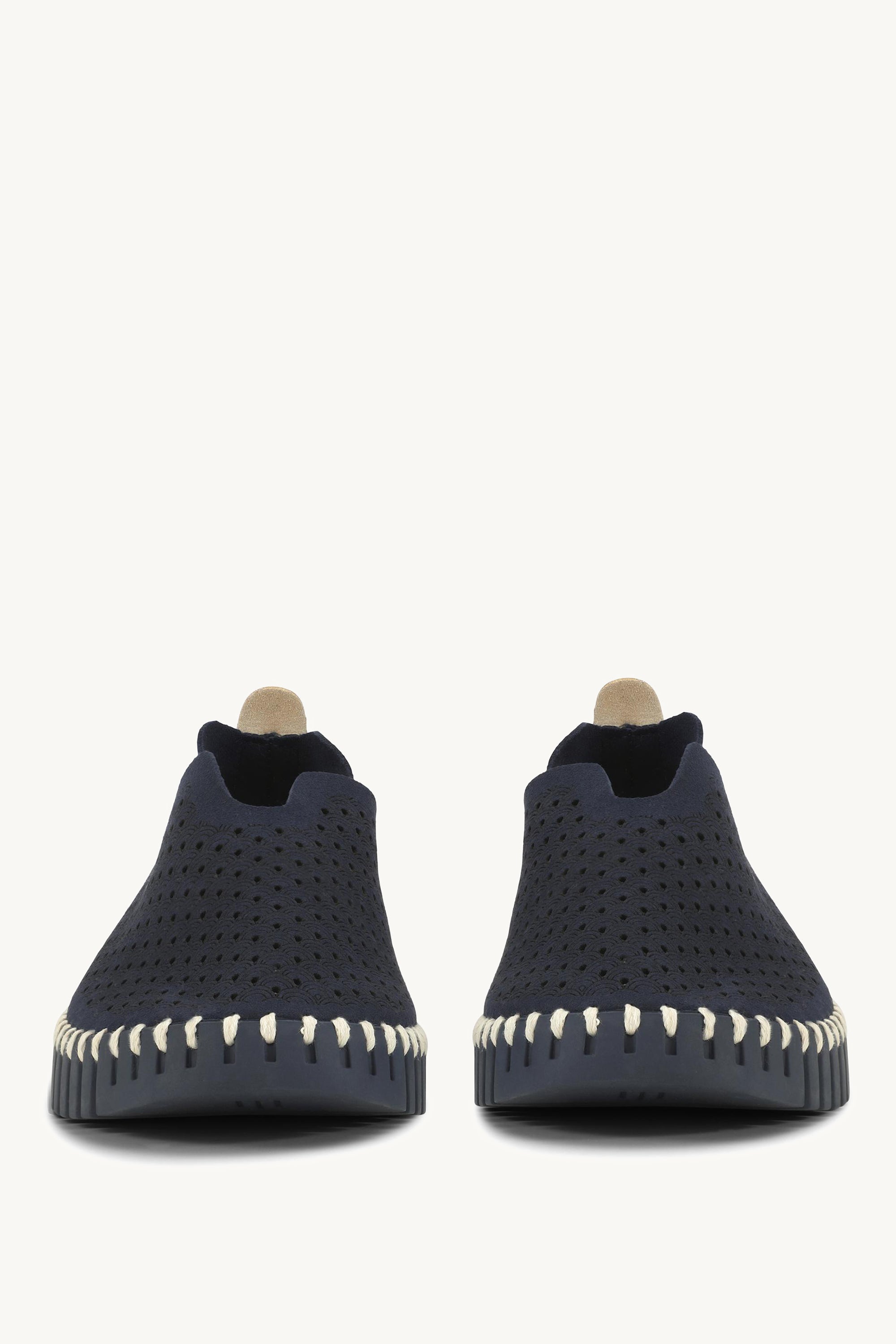 TULIP3977 DARK INDIGO DARK INDIGO