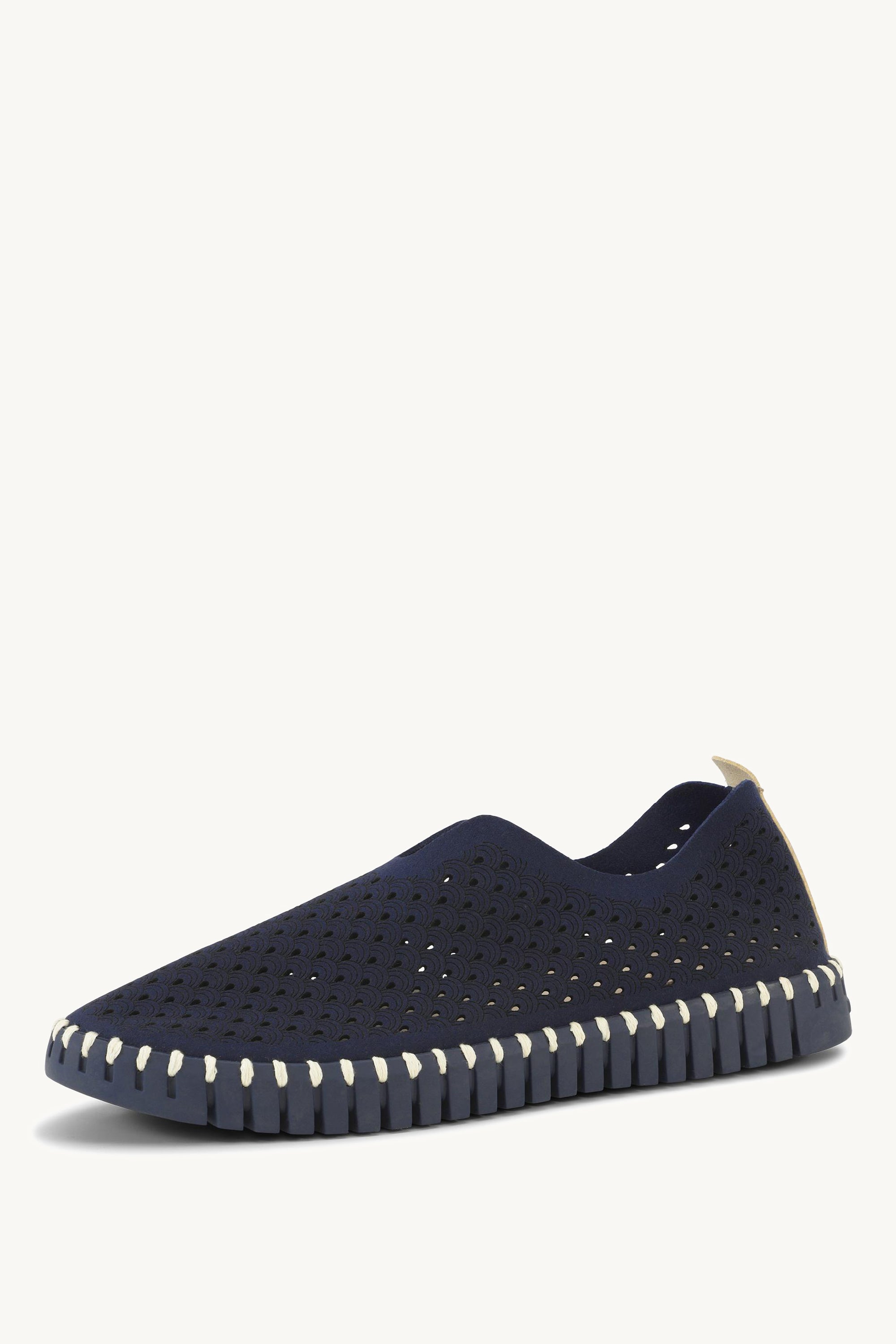 TULIP3977 DARK INDIGO DARK INDIGO