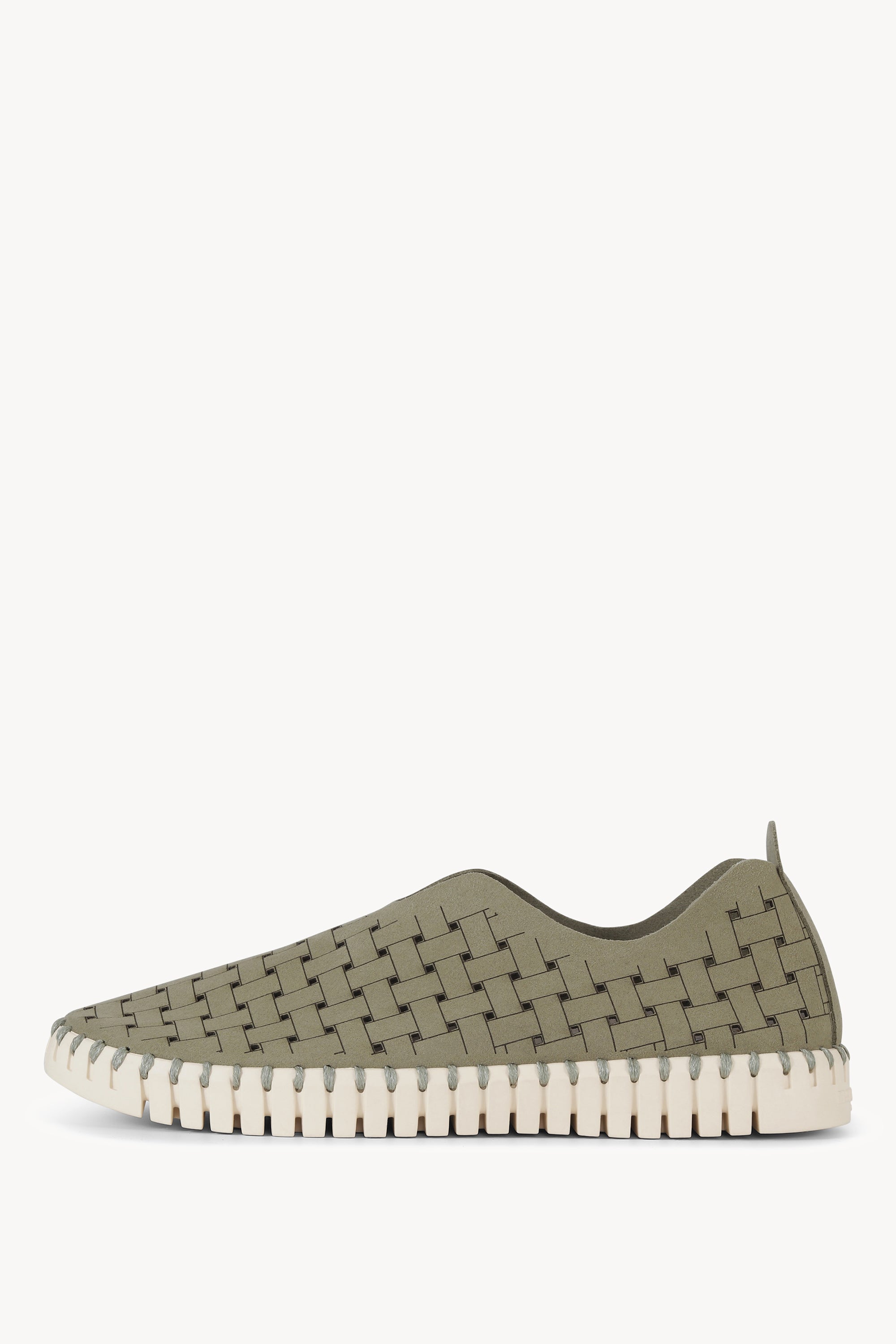 TULIP4030 ARMY