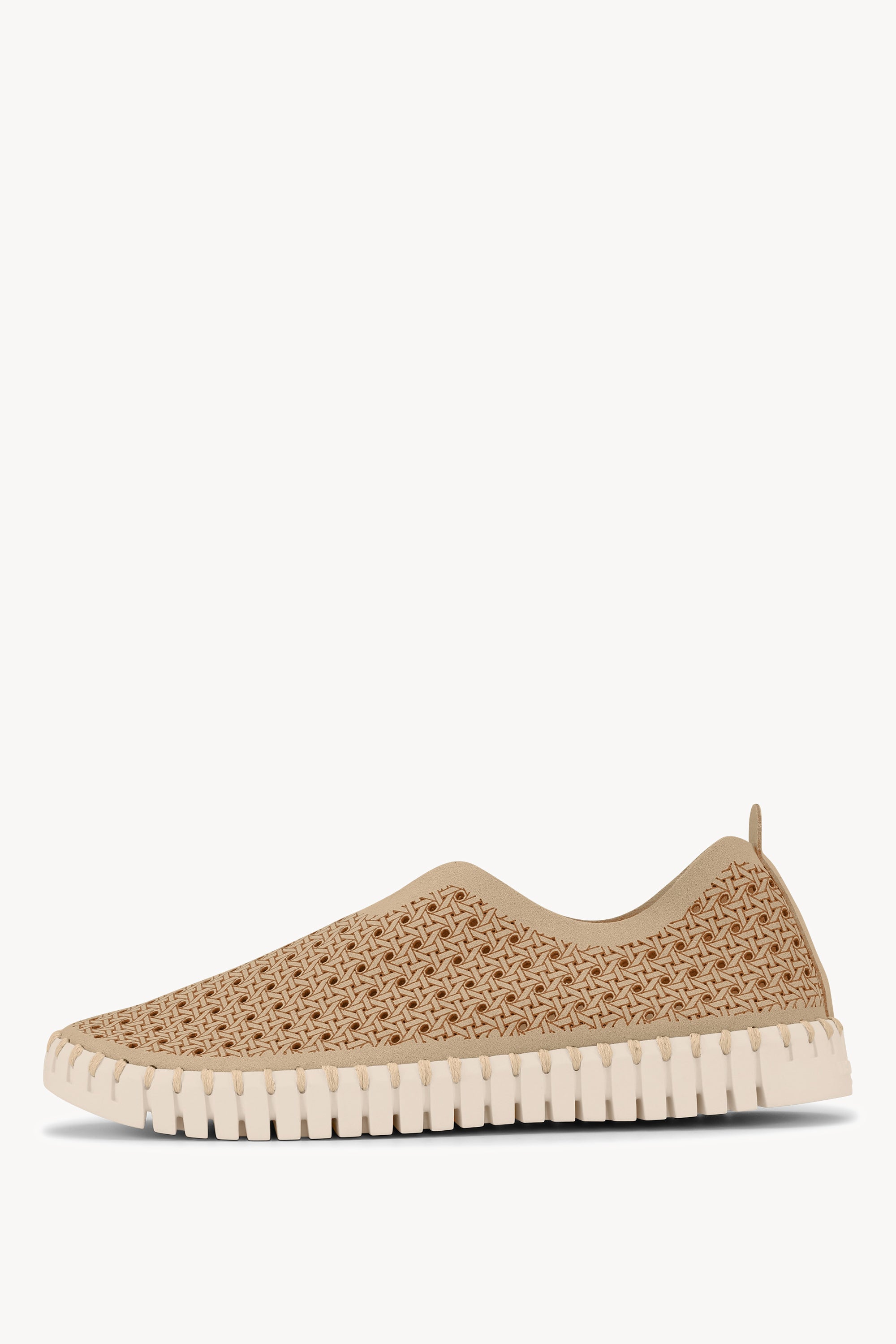 TULIP4031 LATTE PEARLED IVORY