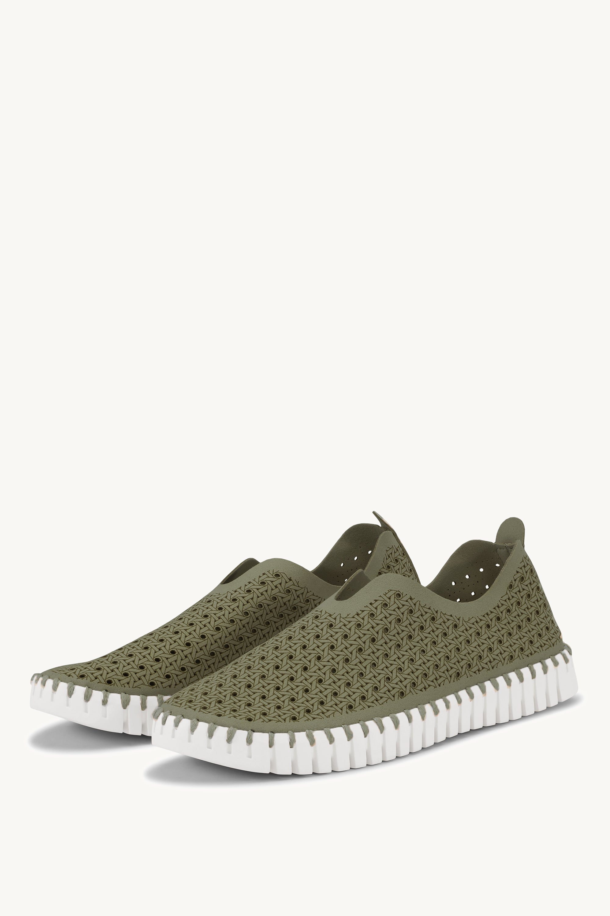 TULIP4031 ARMY WHITE