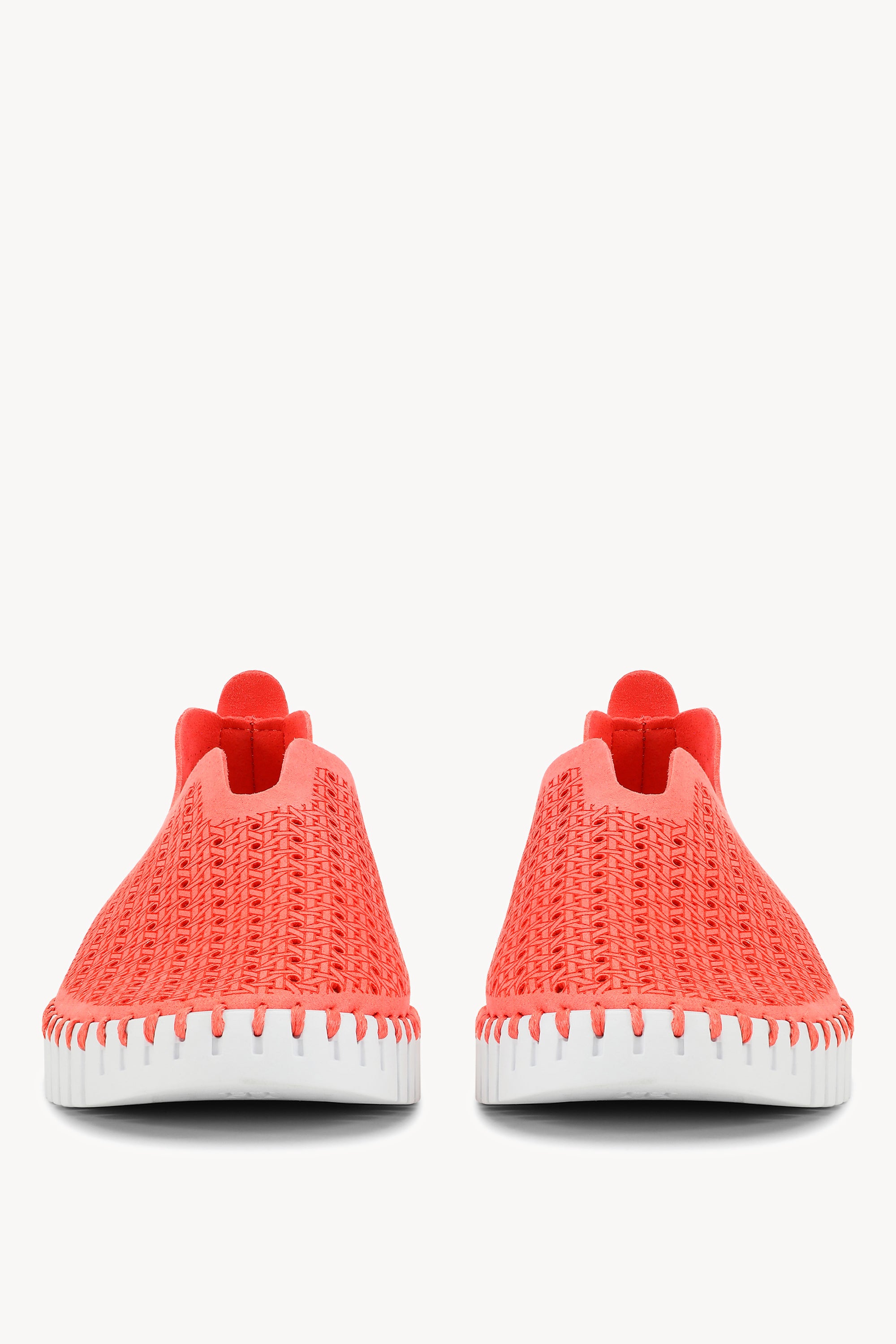 TULIP4031 RASPBERRY WHITE