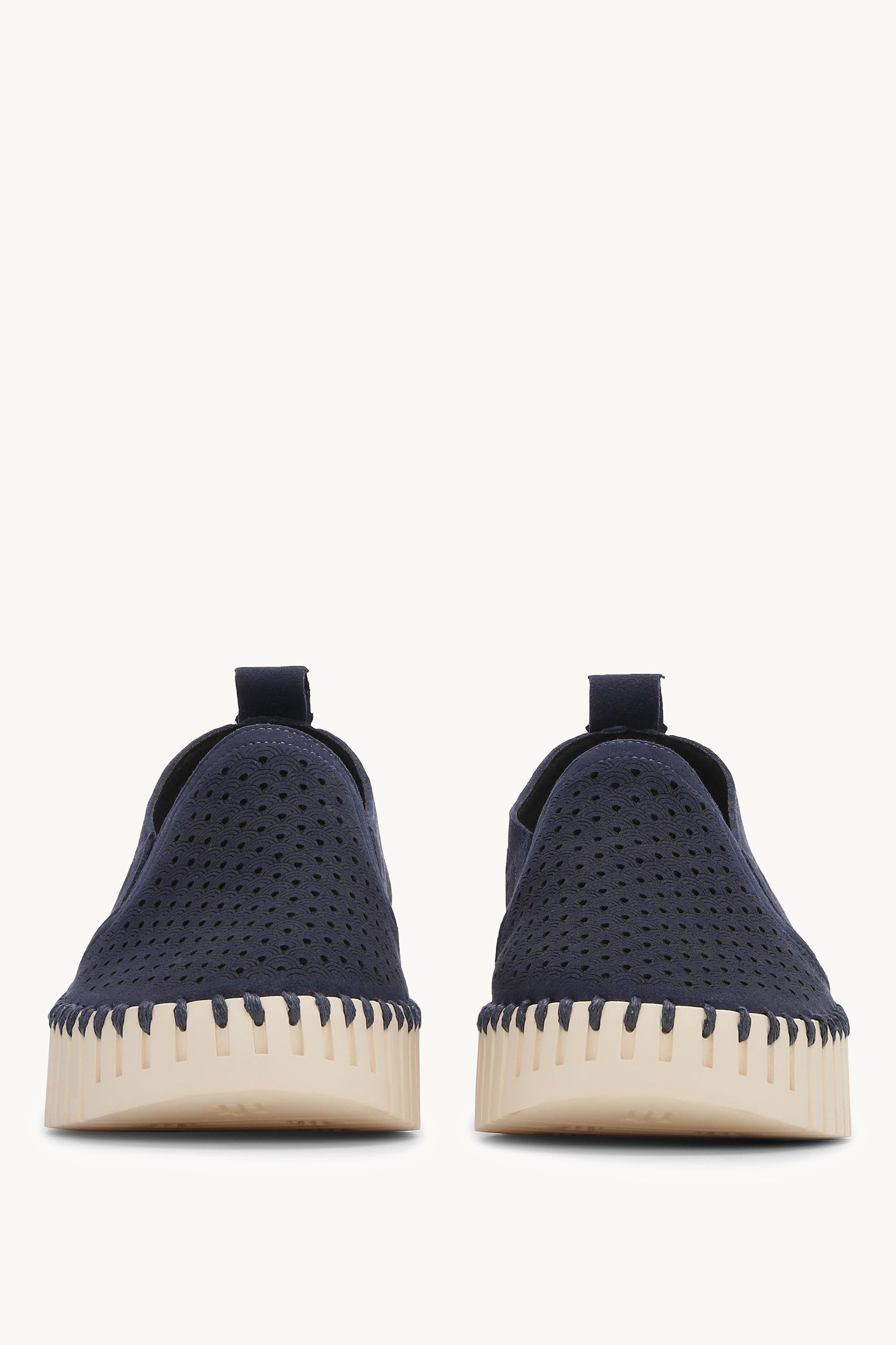TULIP4078 DARK INDIGO PEARLED IVORY