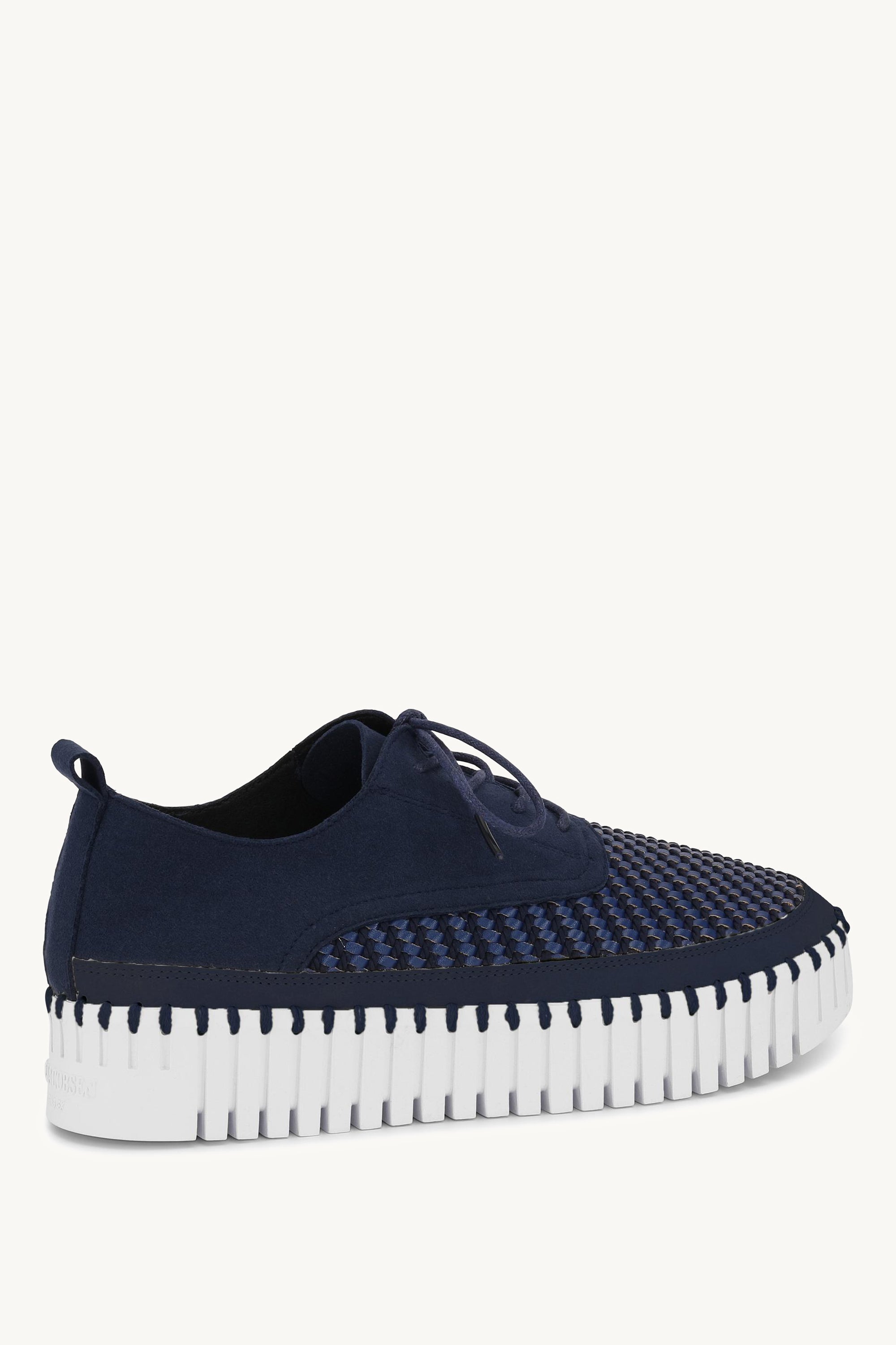 TULIP4094 DARK INDIGO WHITE