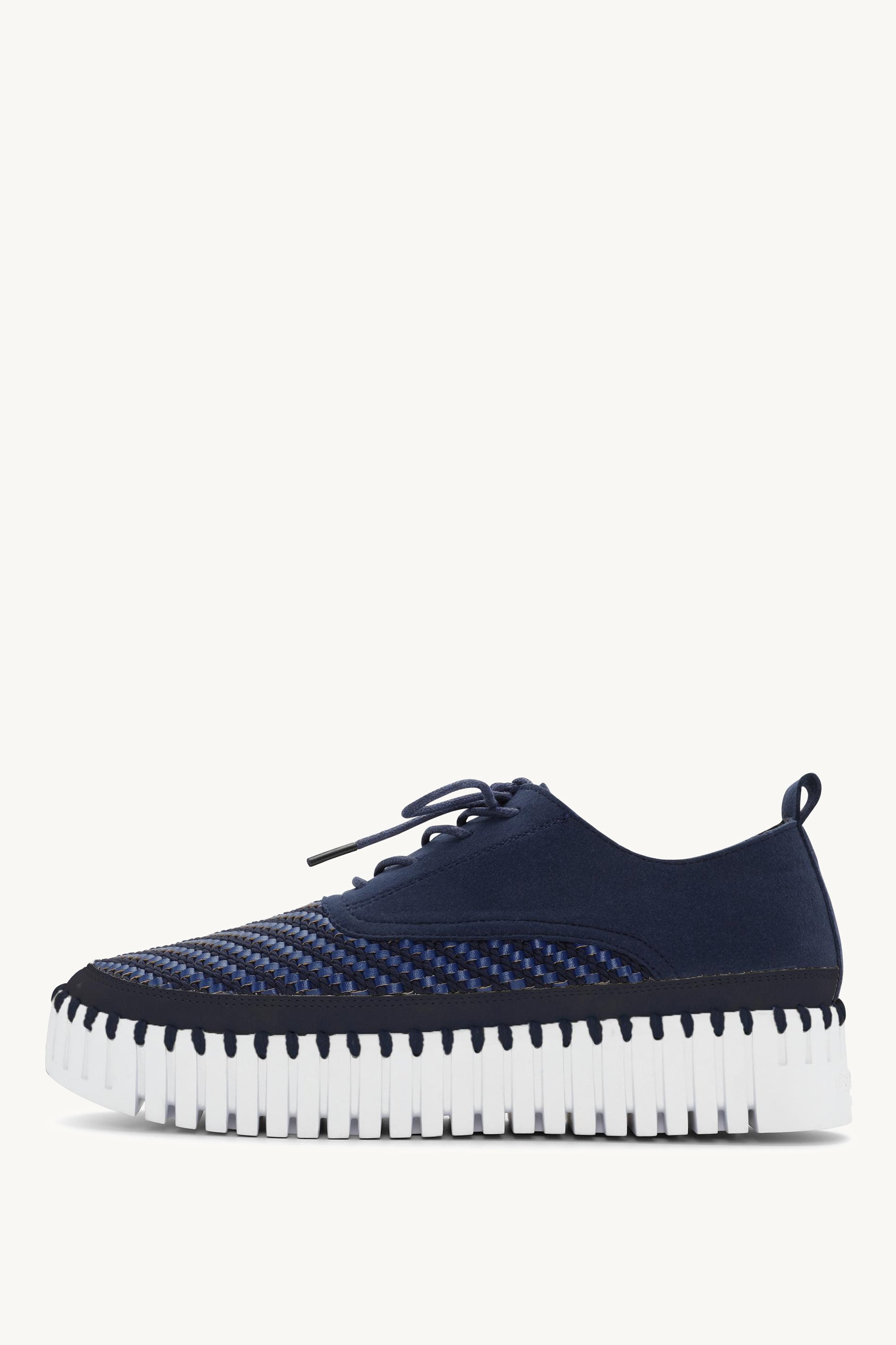 TULIP4094 DARK INDIGO WHITE