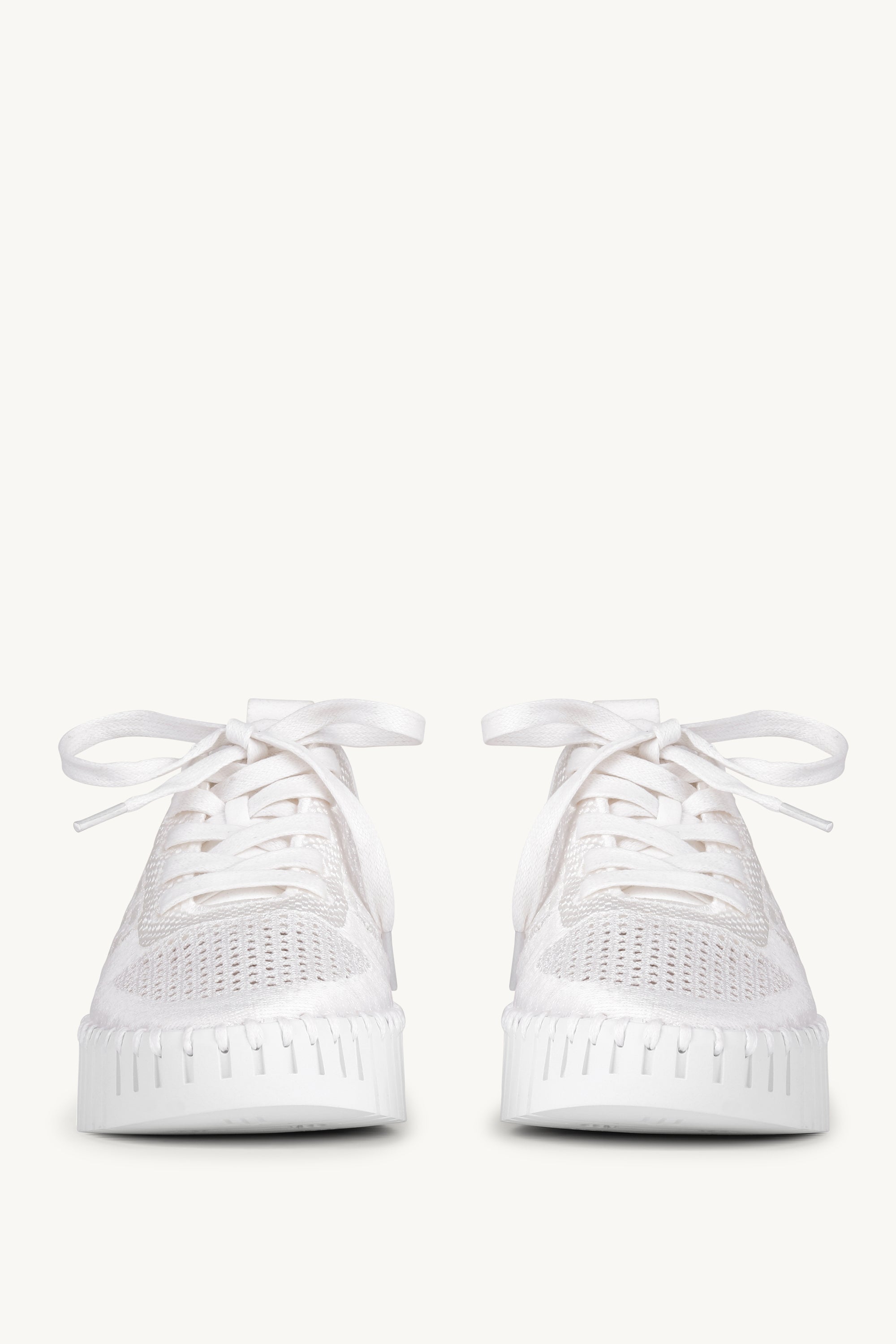 TULIP4271 WHITE WHITE