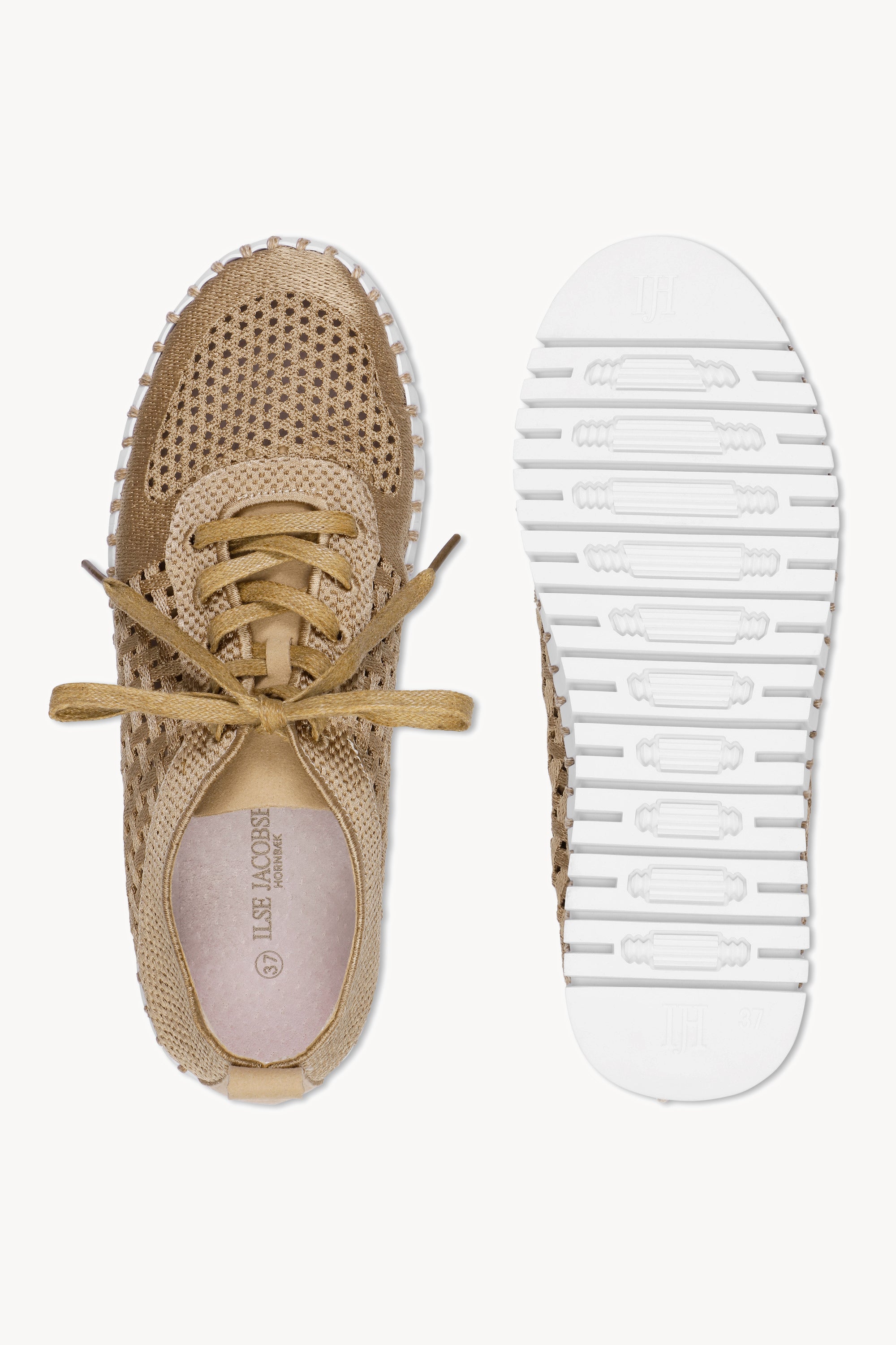 TULIP4271 LATTE WHITE