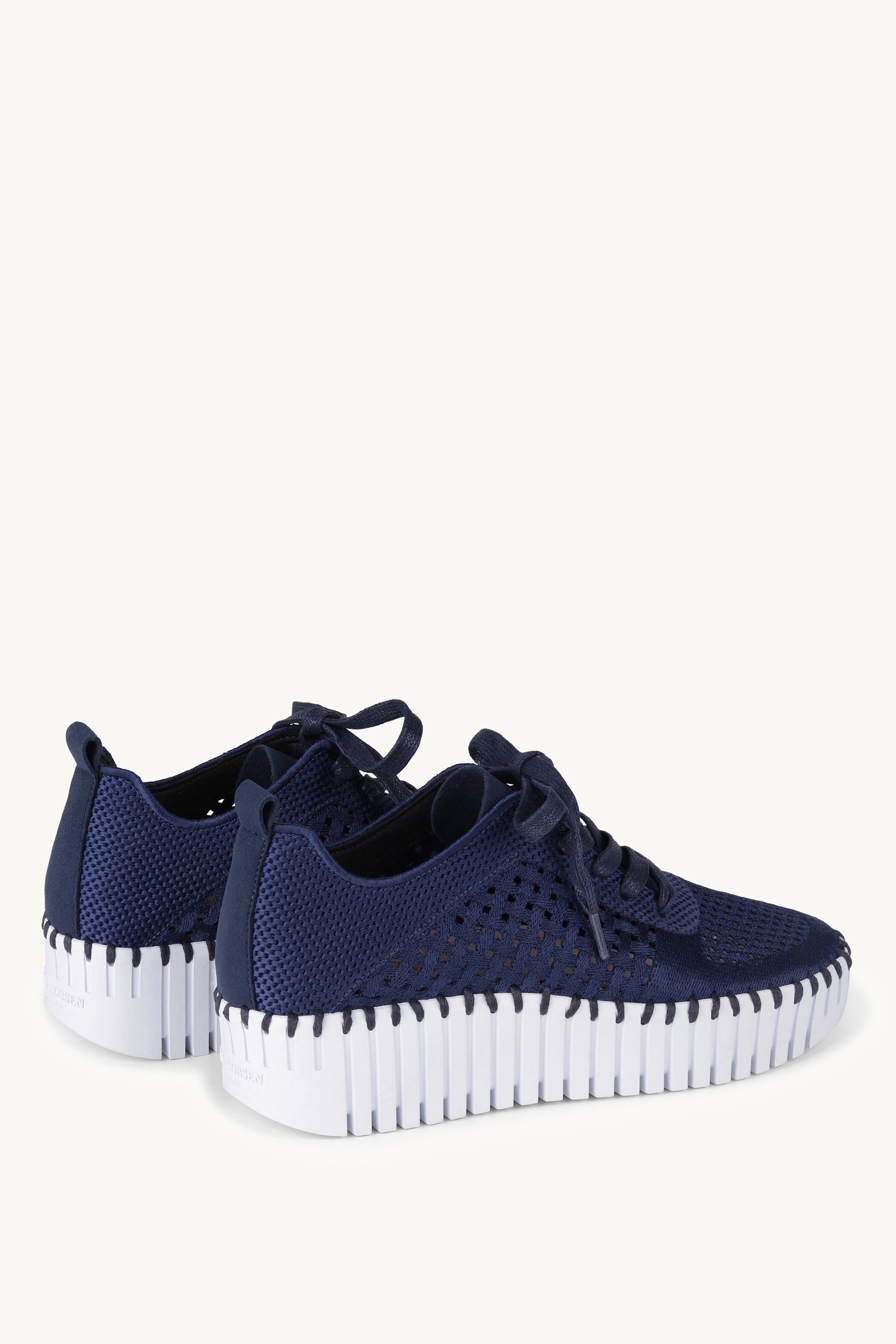 TULIP4271 DARK INDIGO WHITE
