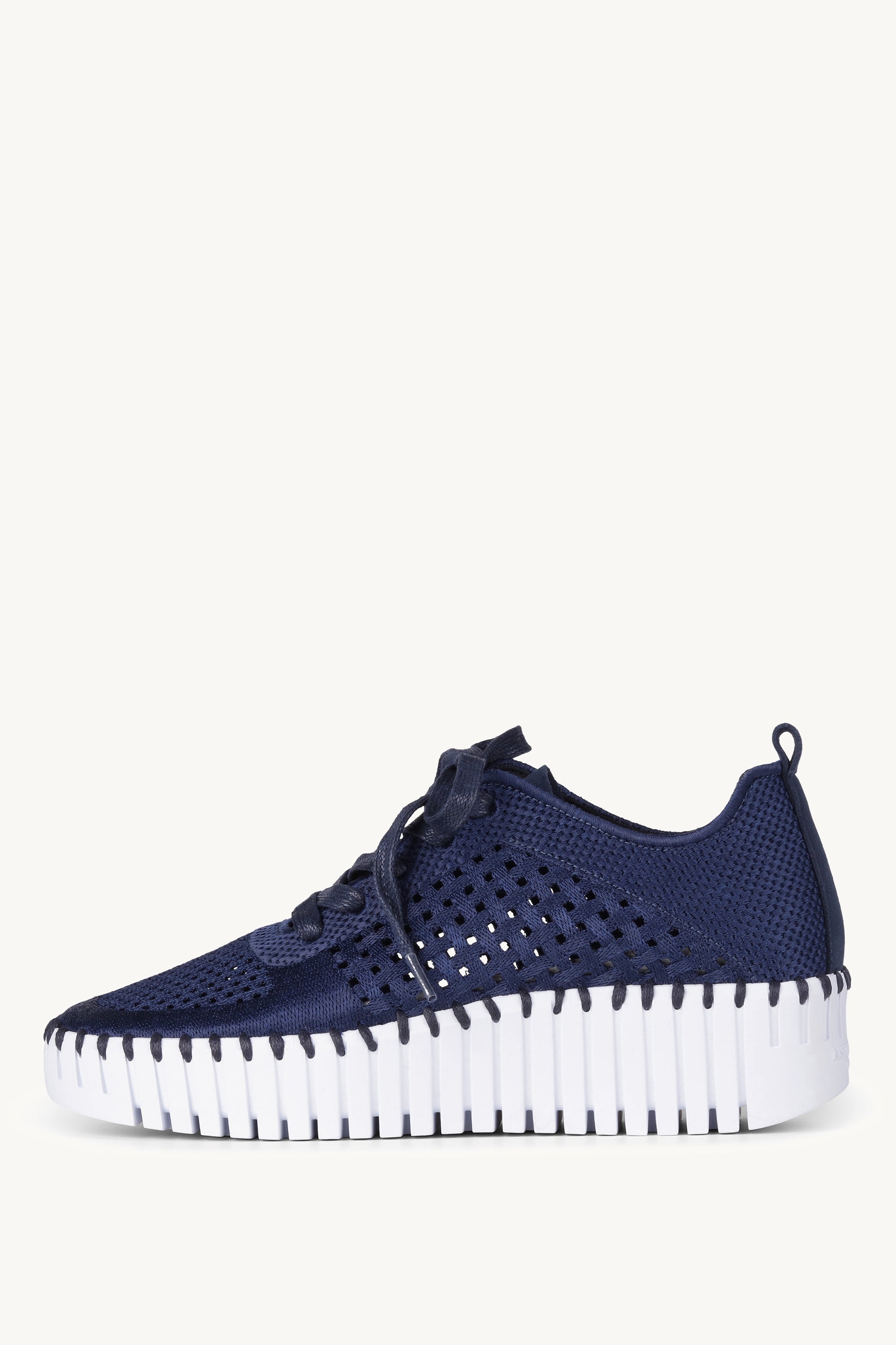 TULIP4271 DARK INDIGO WHITE