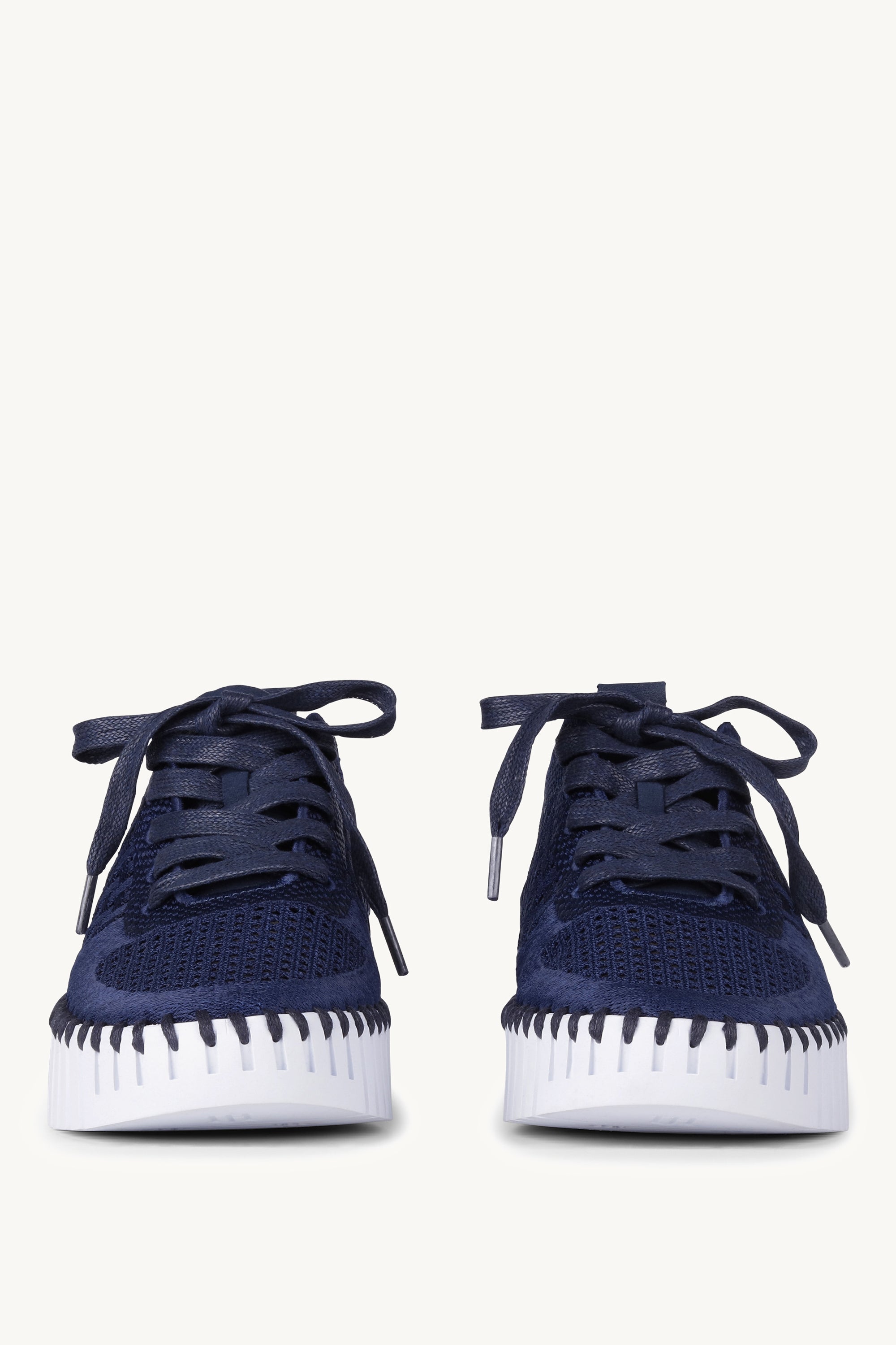 TULIP4271 DARK INDIGO WHITE