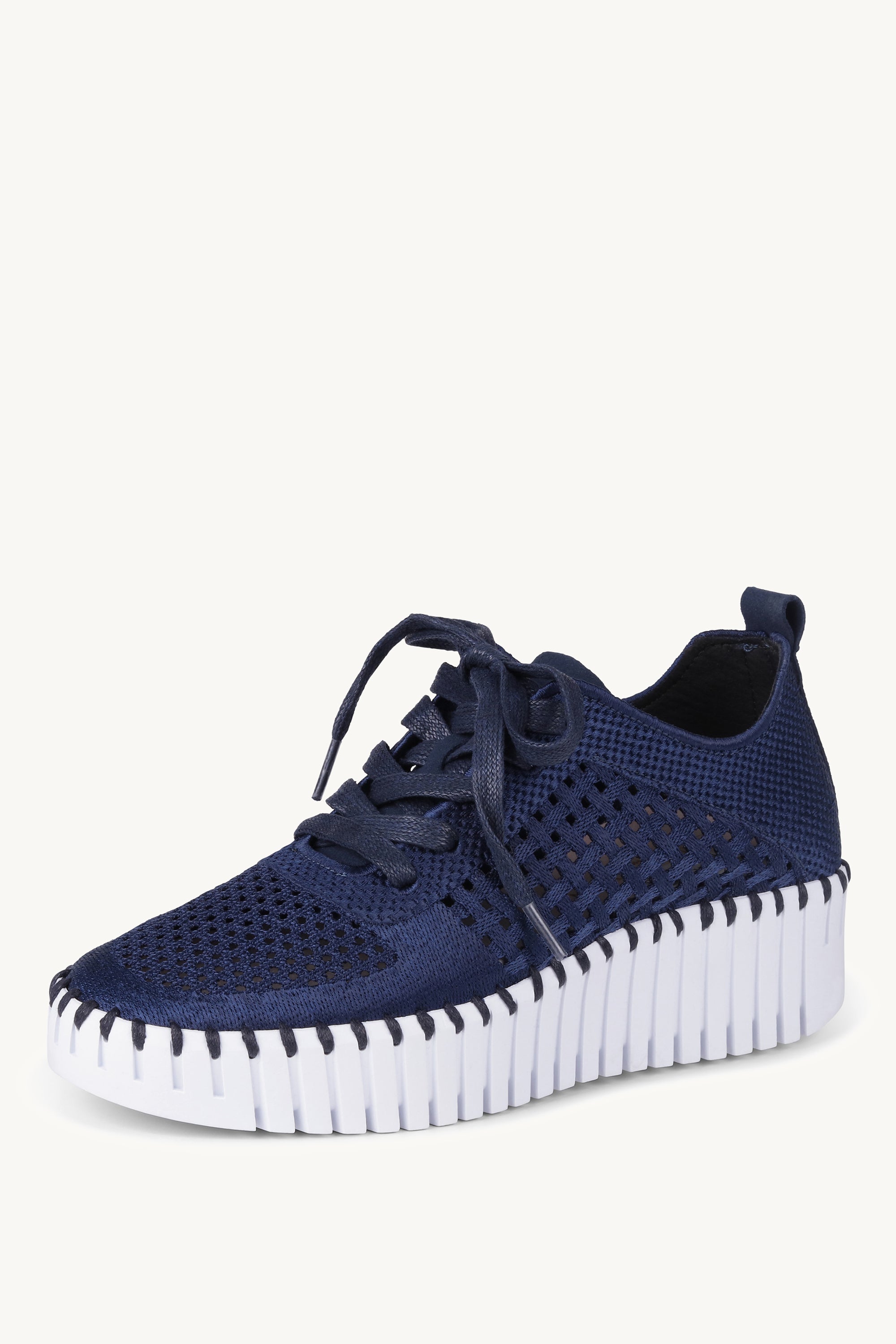 TULIP4271 DARK INDIGO WHITE