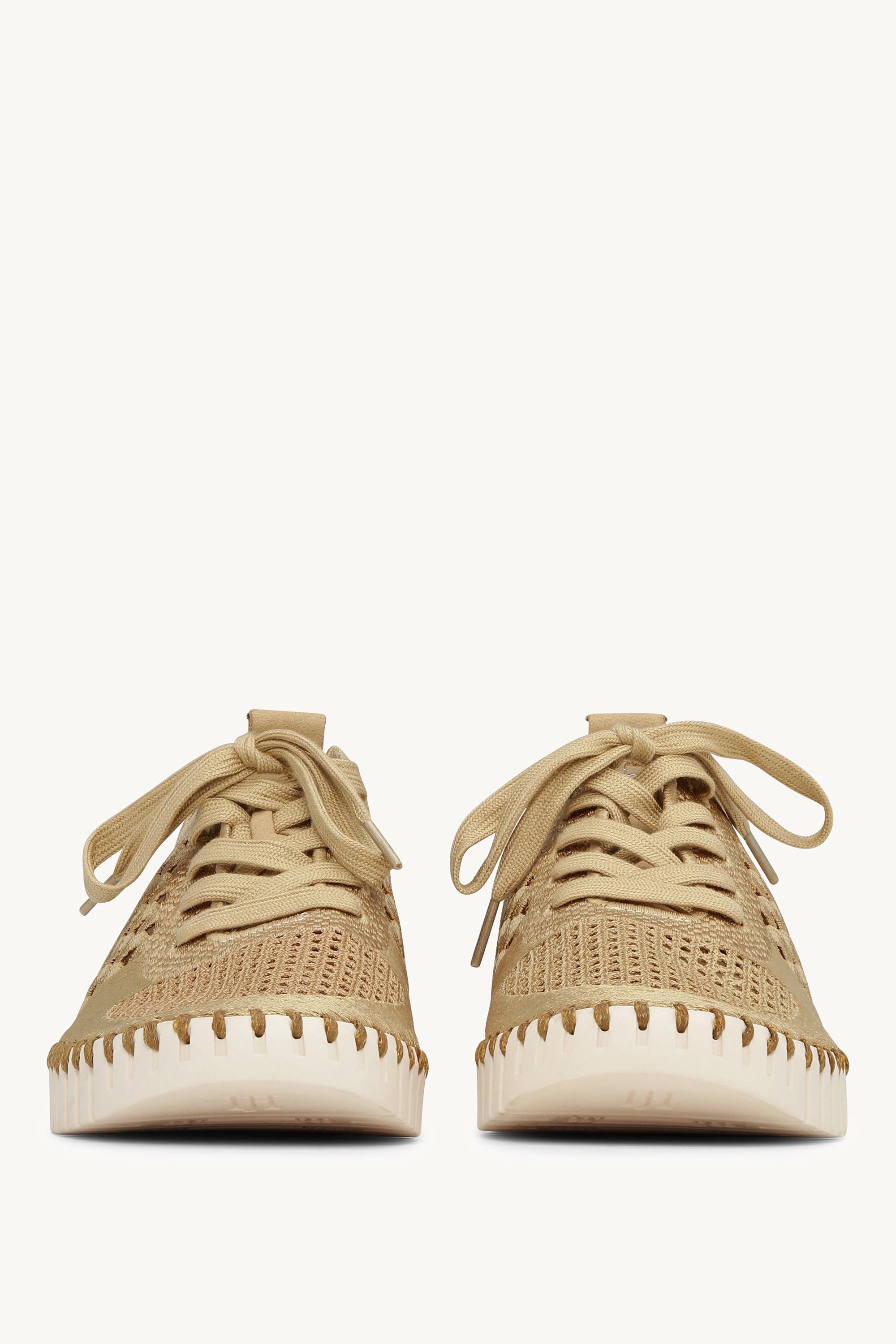 TULIP4275 CASHEW PEARLED IVORY