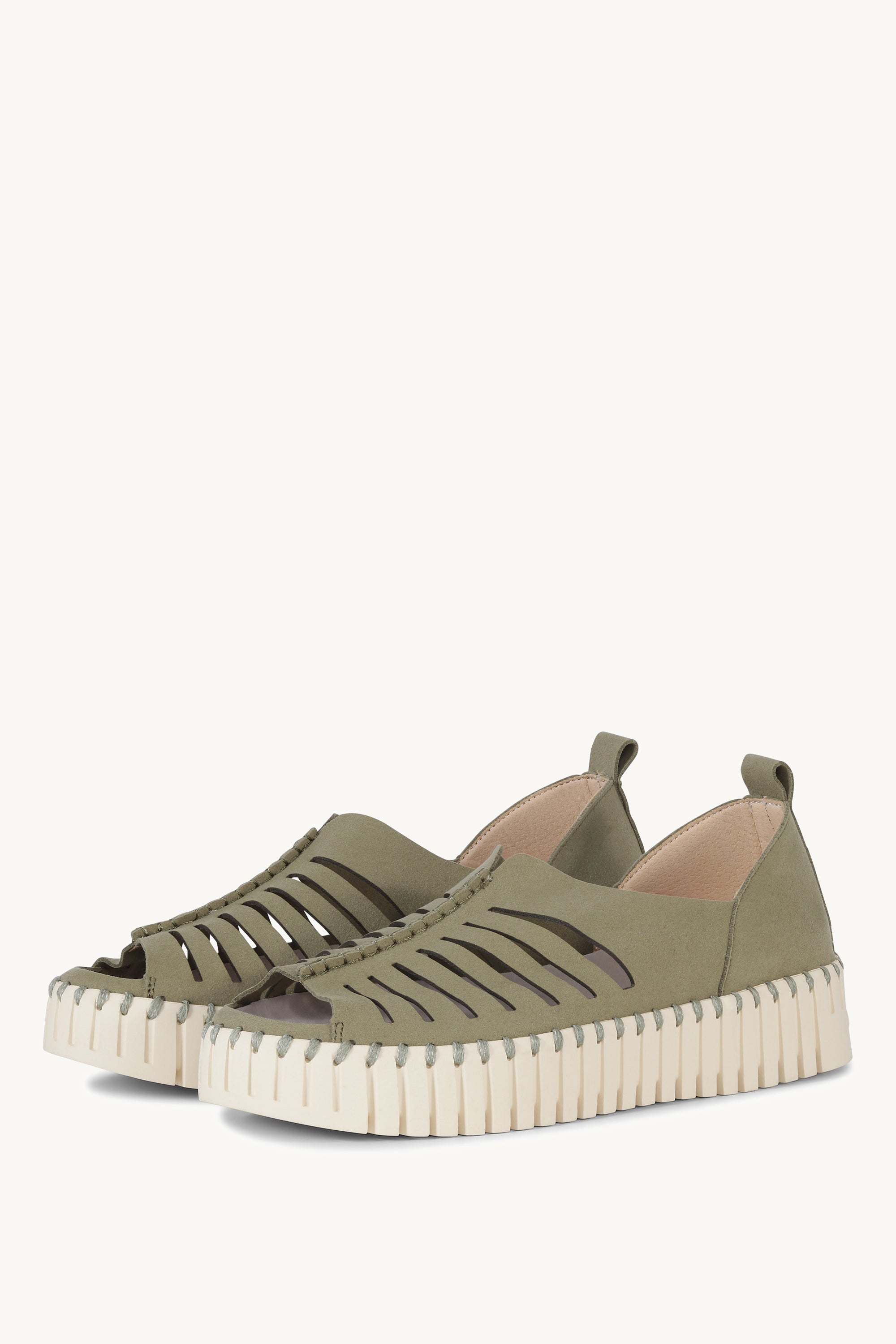 TULIP9376 ARMY
