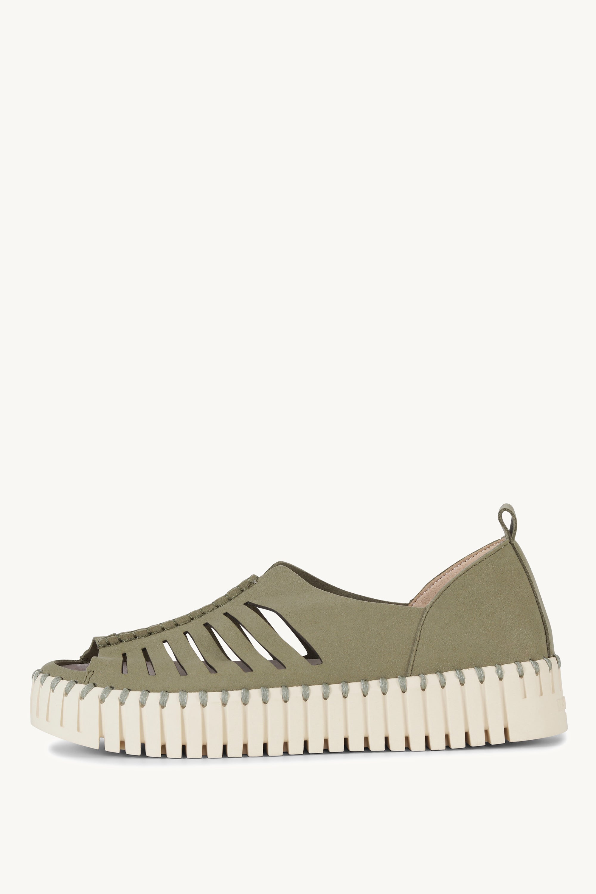 TULIP9376 ARMY