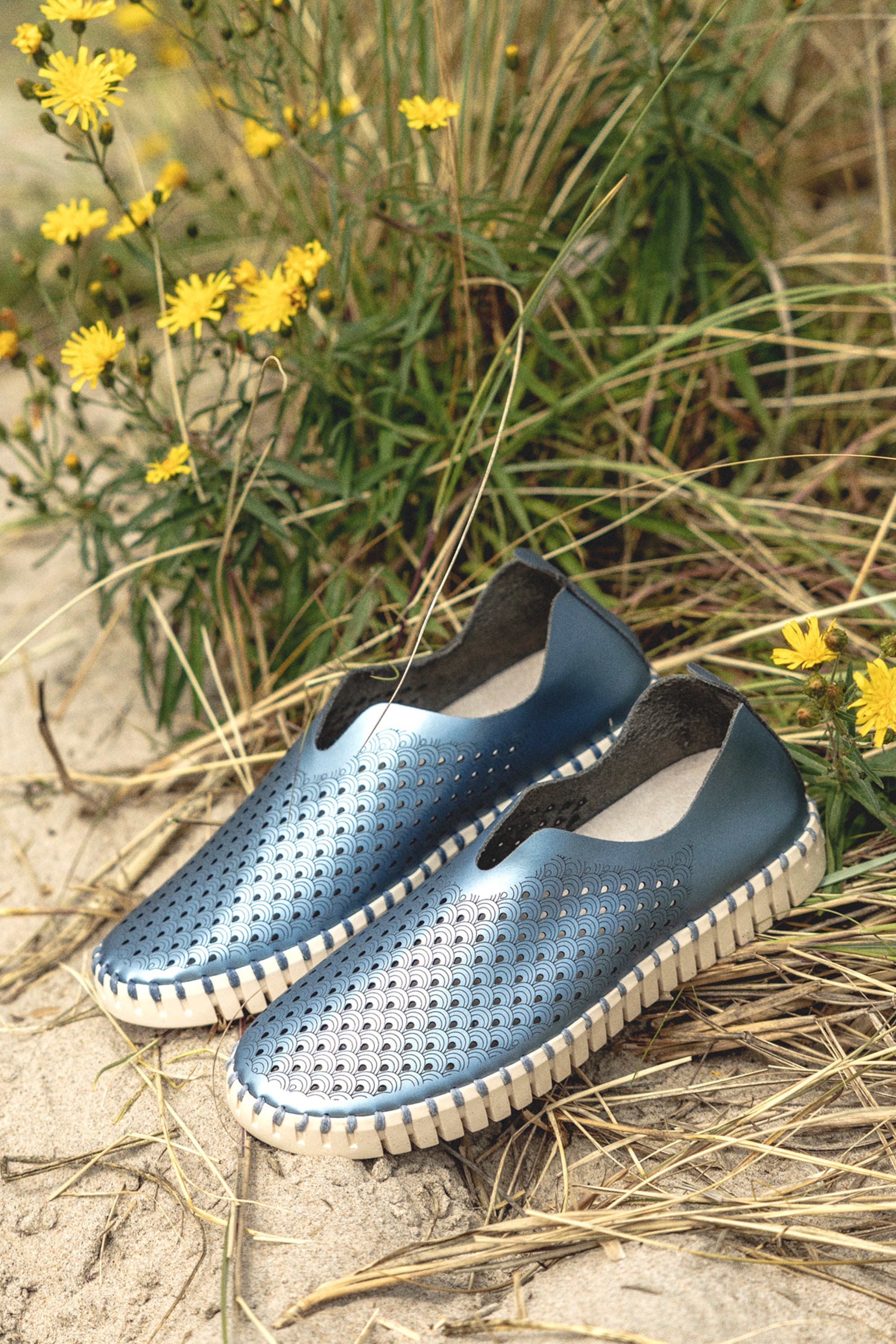 TULIP3576N METALLIC BLUE