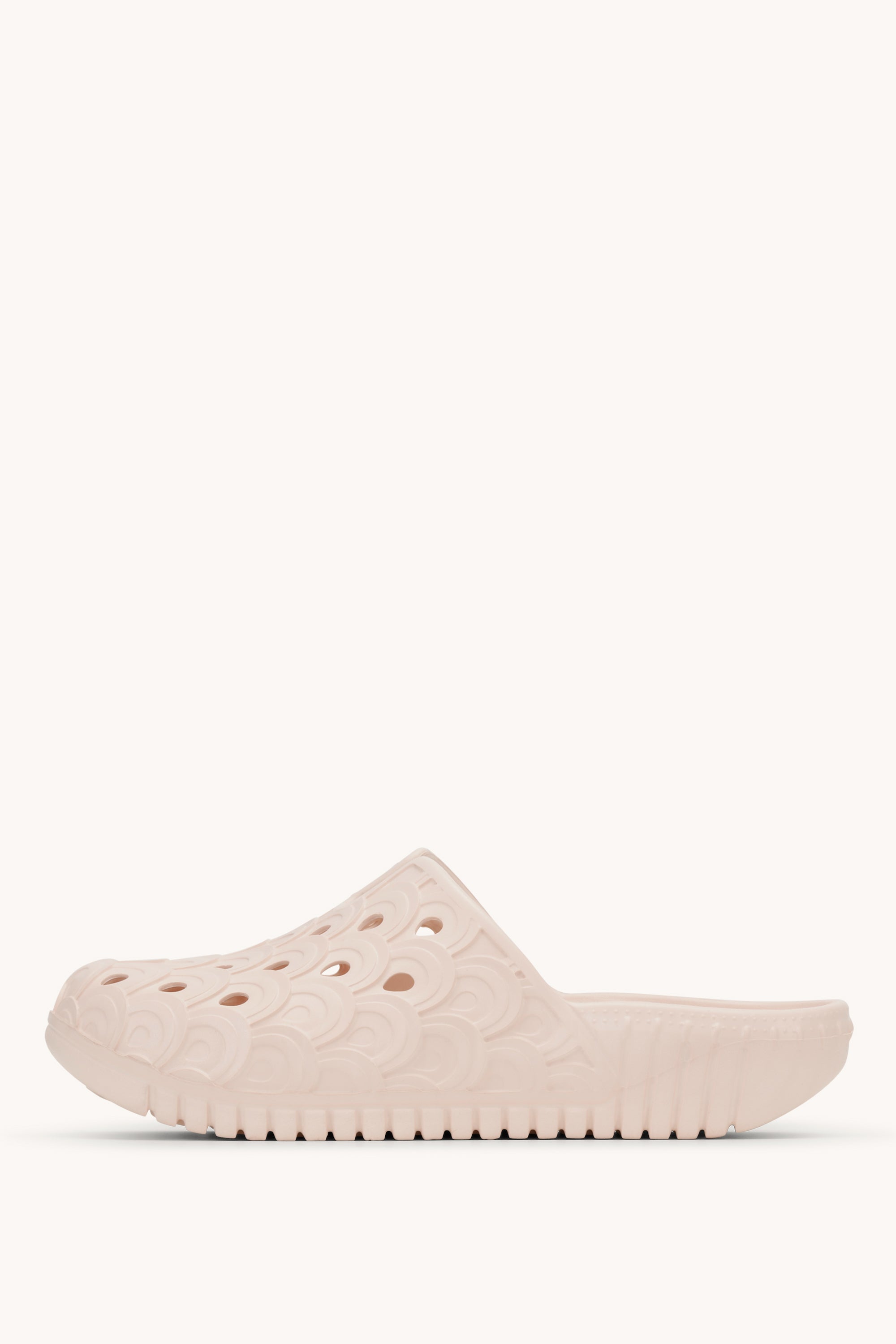BIRCH01 LOTUS