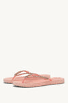 SOFT CORAL