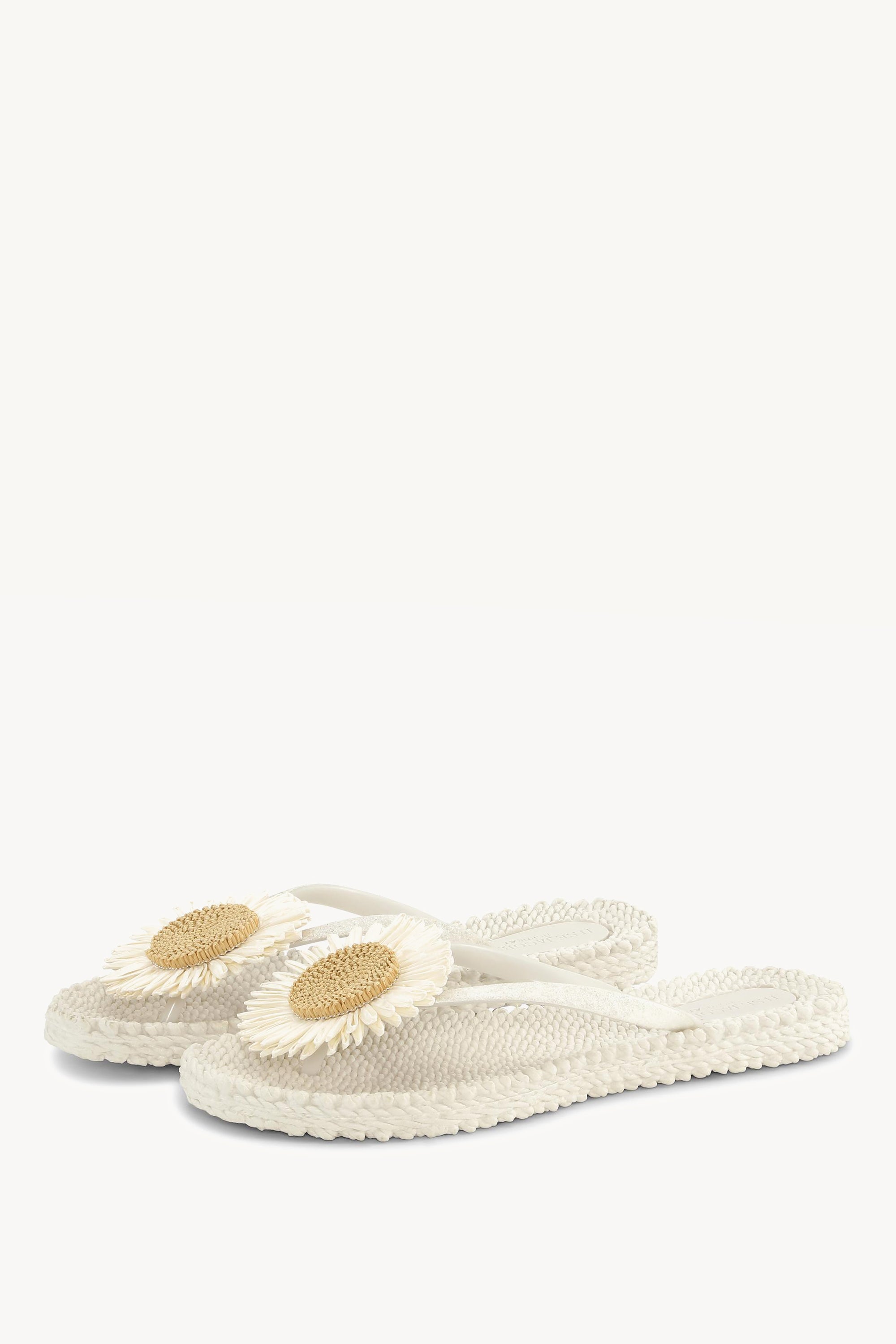 CHEERFUL16F CREME