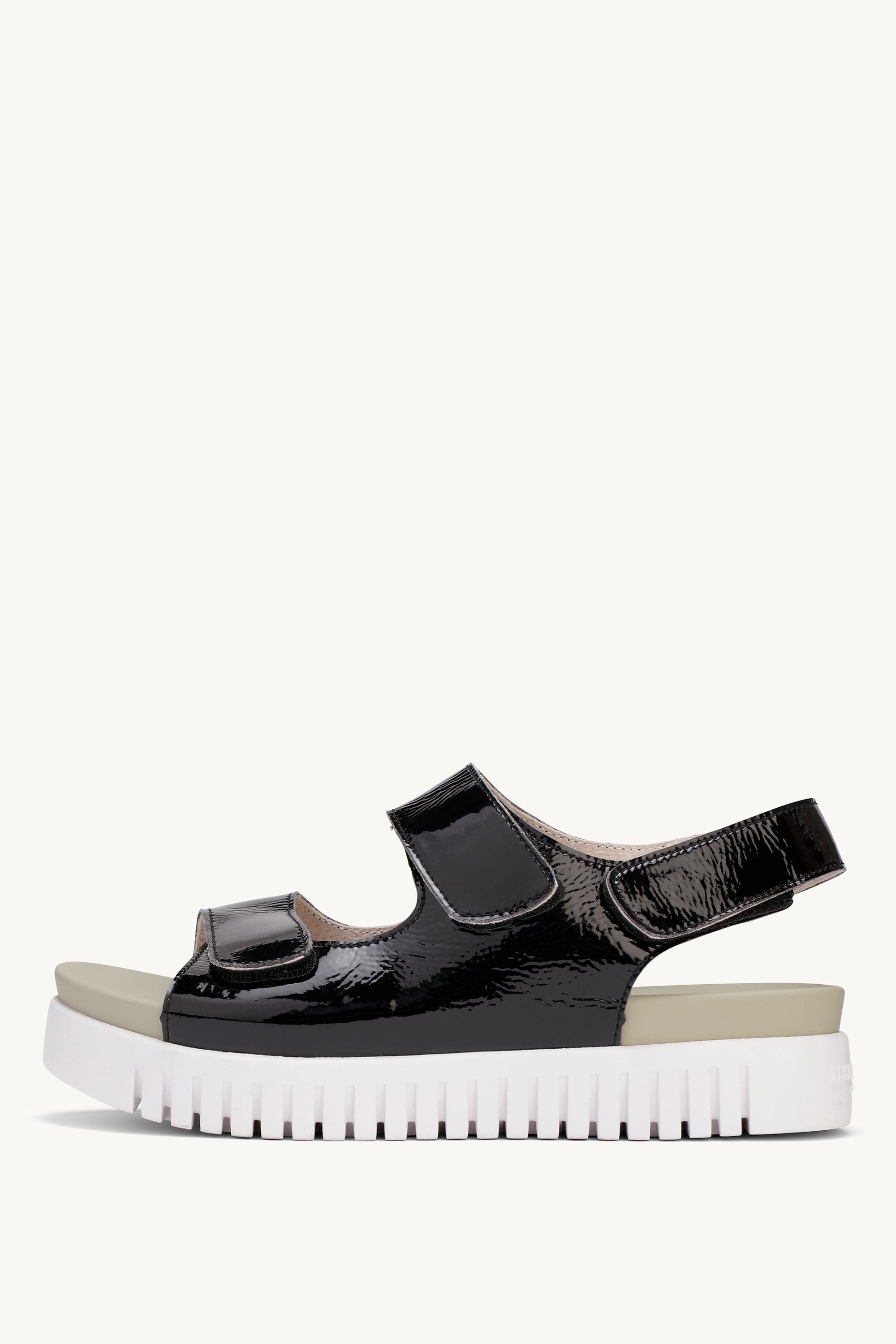TULIP1030 BLACK