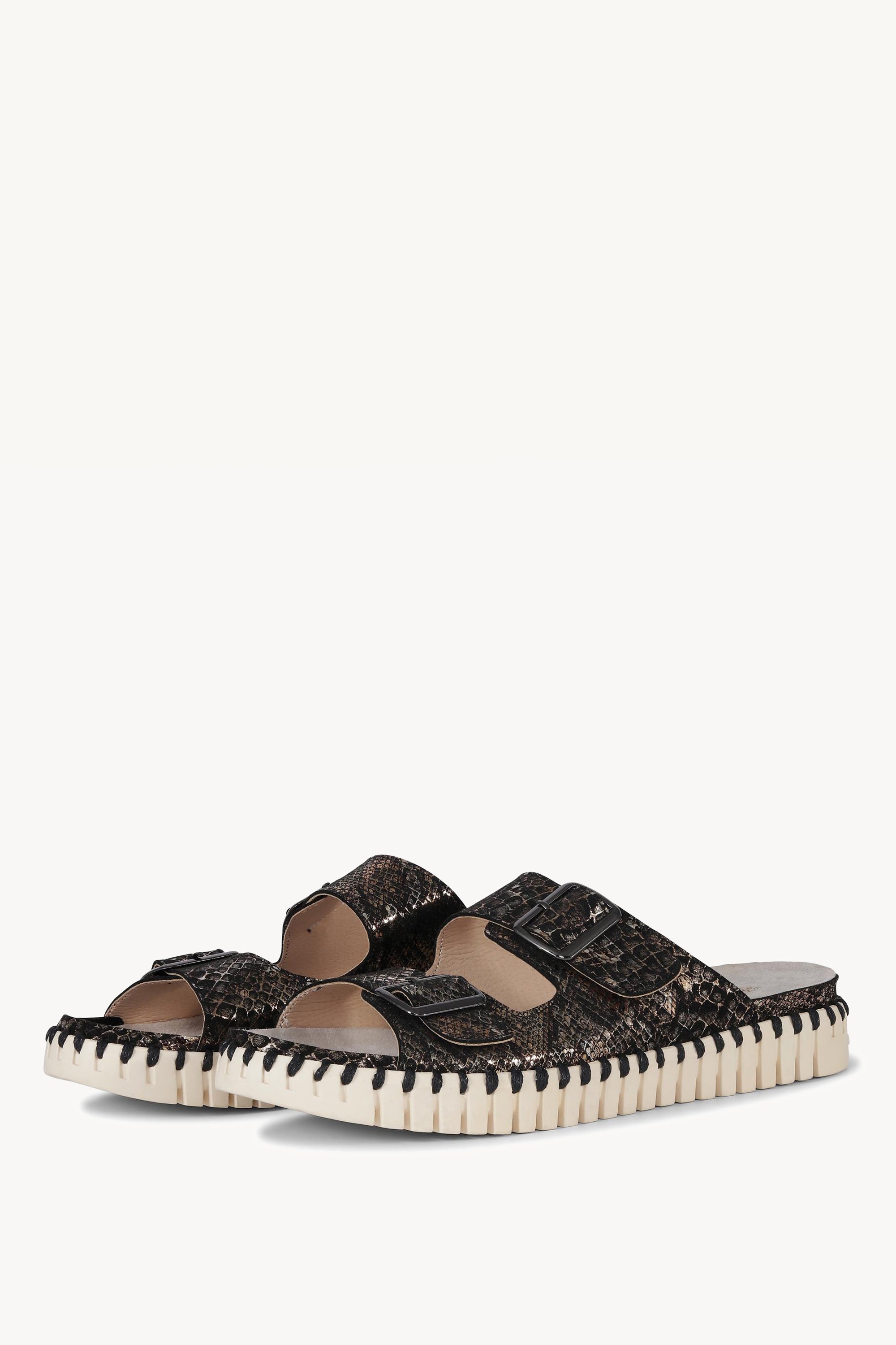TULIP1031 BLACK
