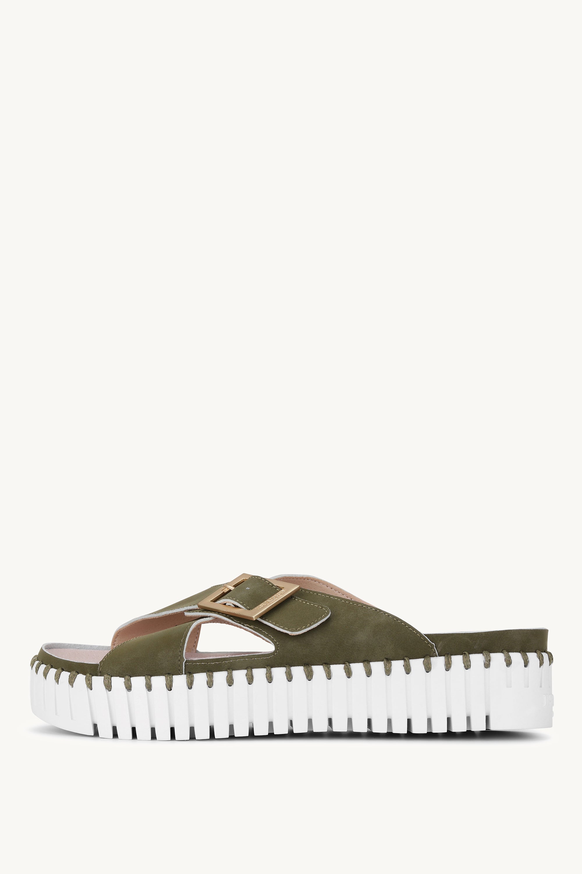 TULIP1033 ARMY WHITE