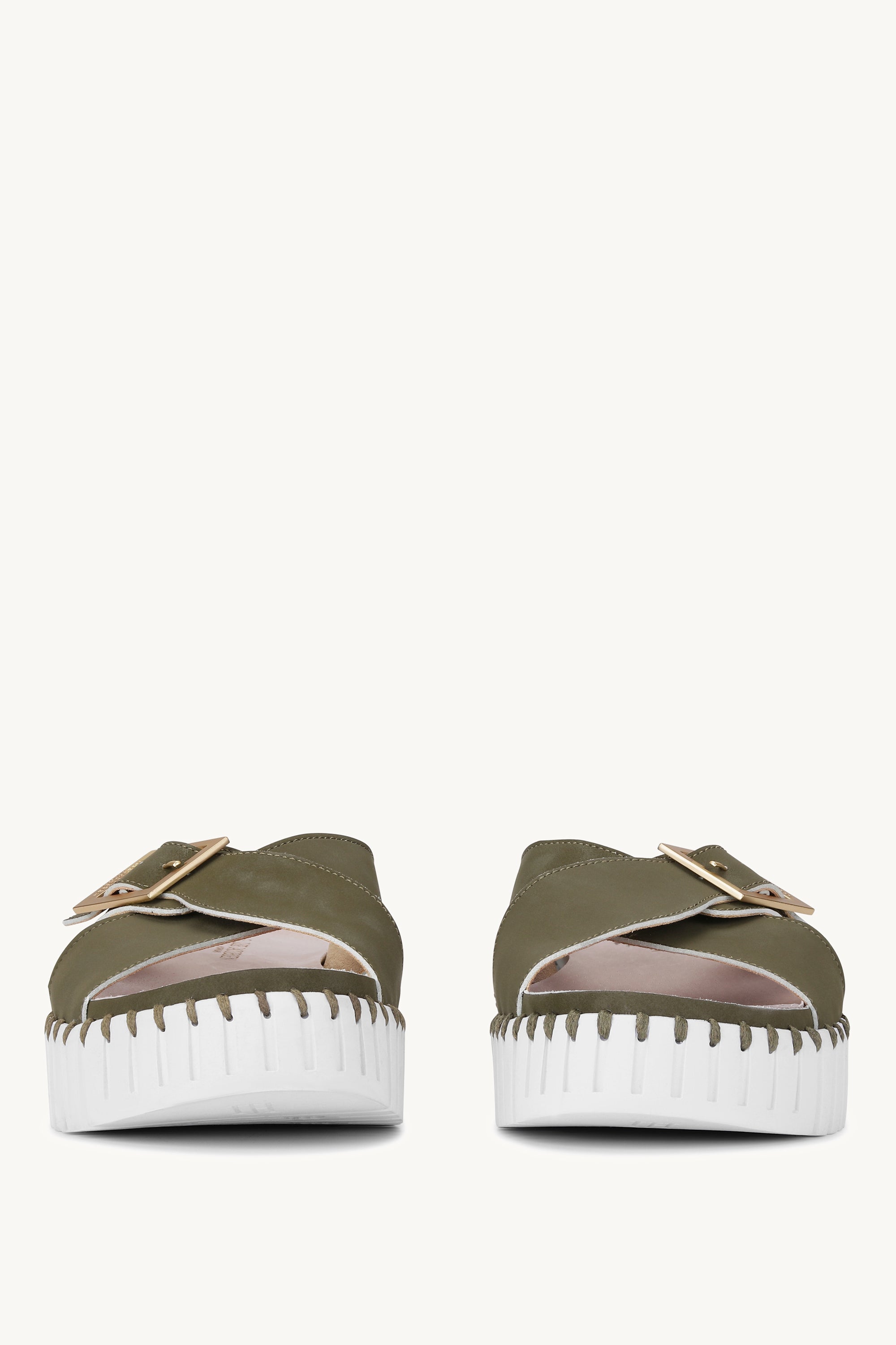 TULIP1033 ARMY WHITE