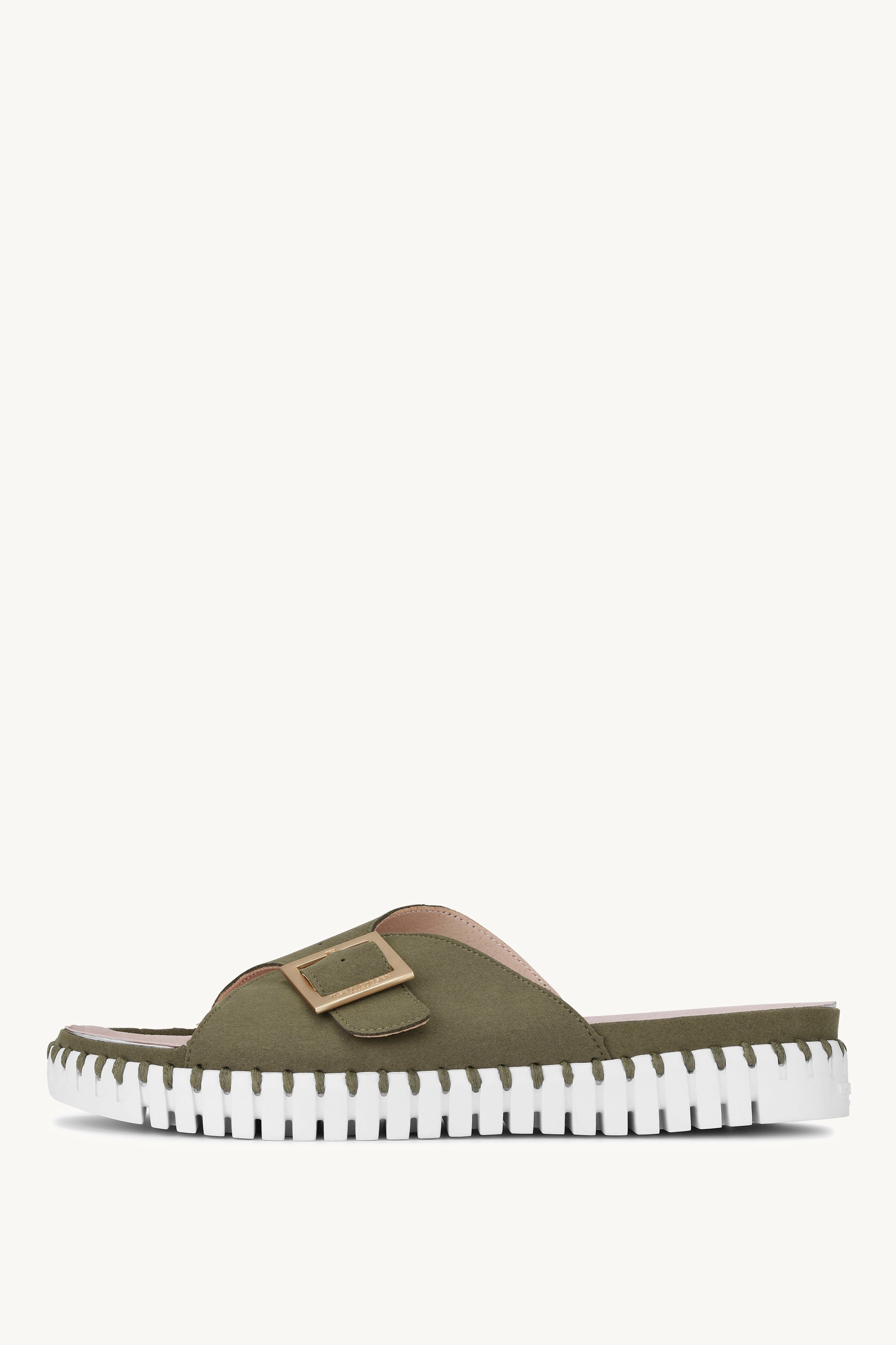 TULIP1035 DEEP OLIVE WHITE