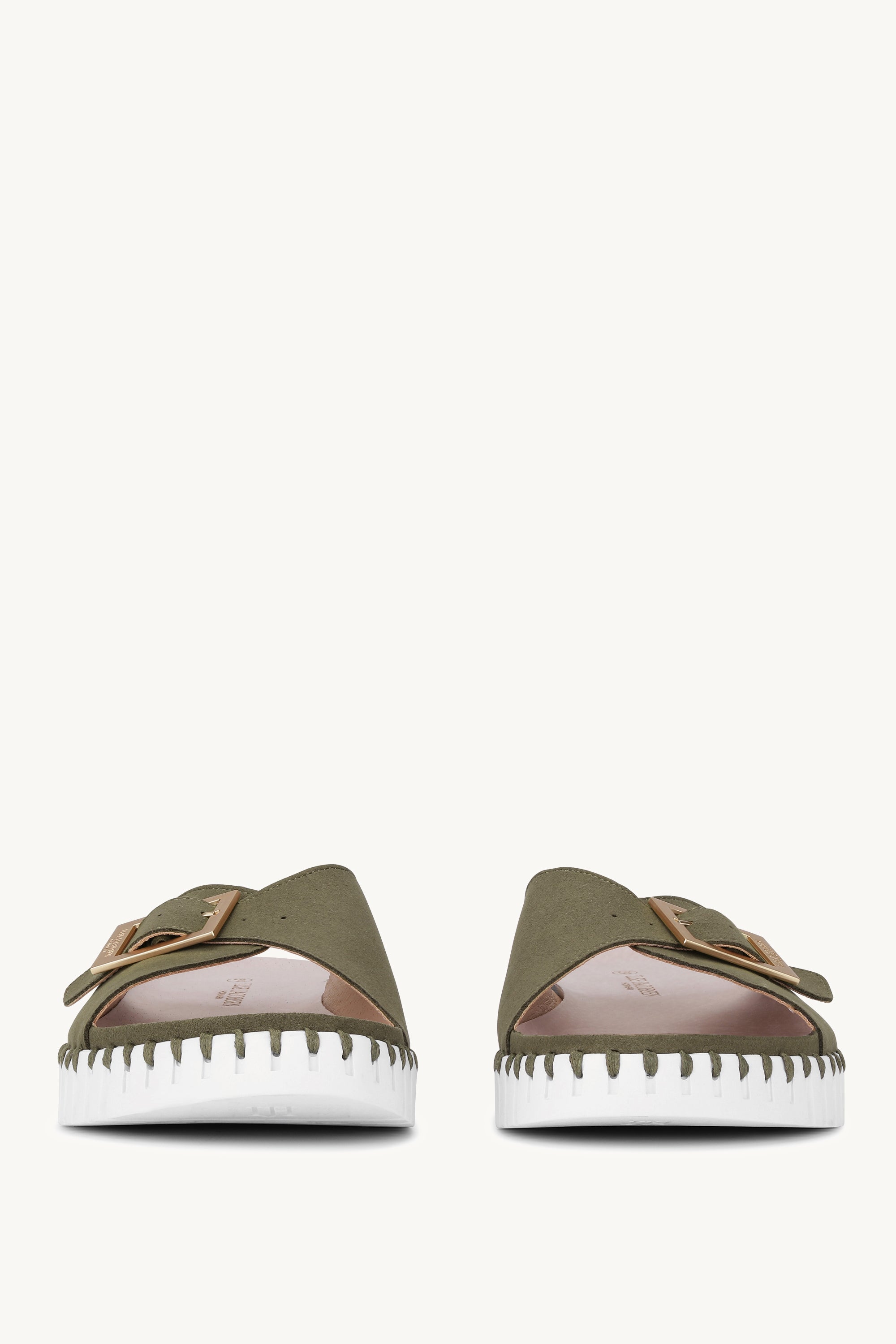 TULIP1035 DEEP OLIVE WHITE