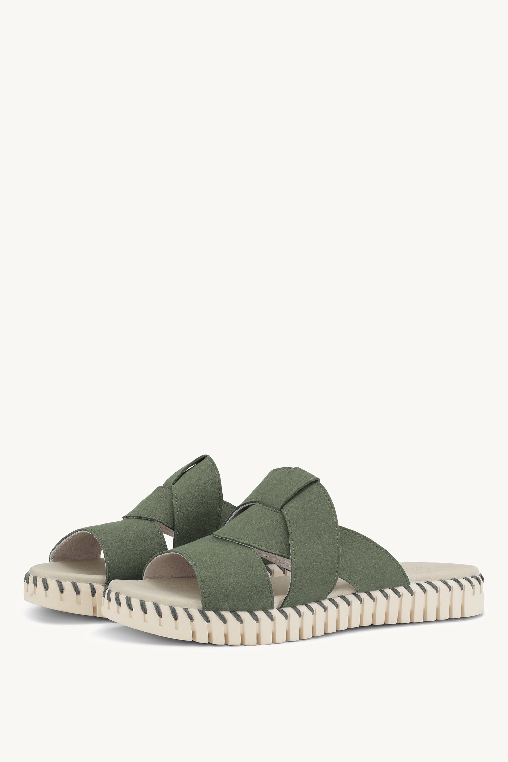 TULIP1265 ARMY