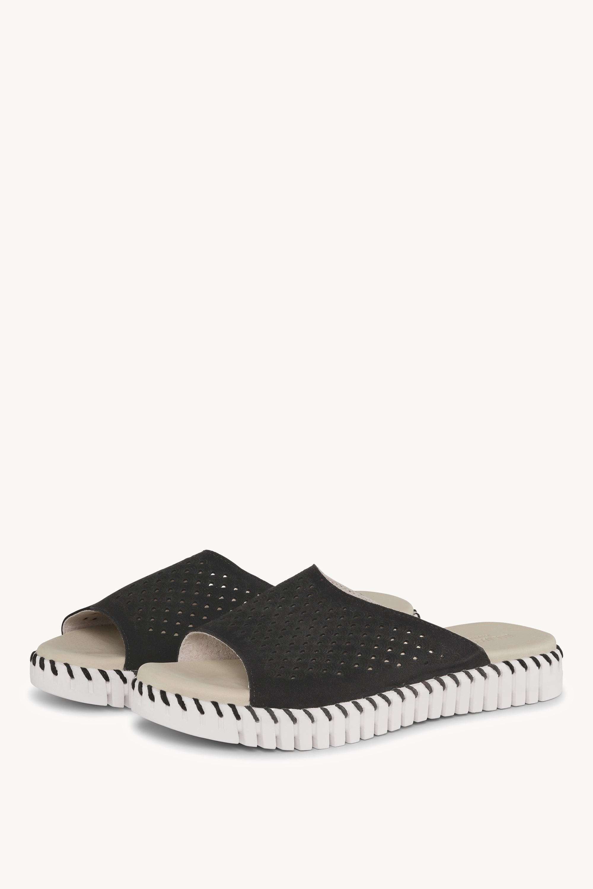 TULIP1375 BLACK