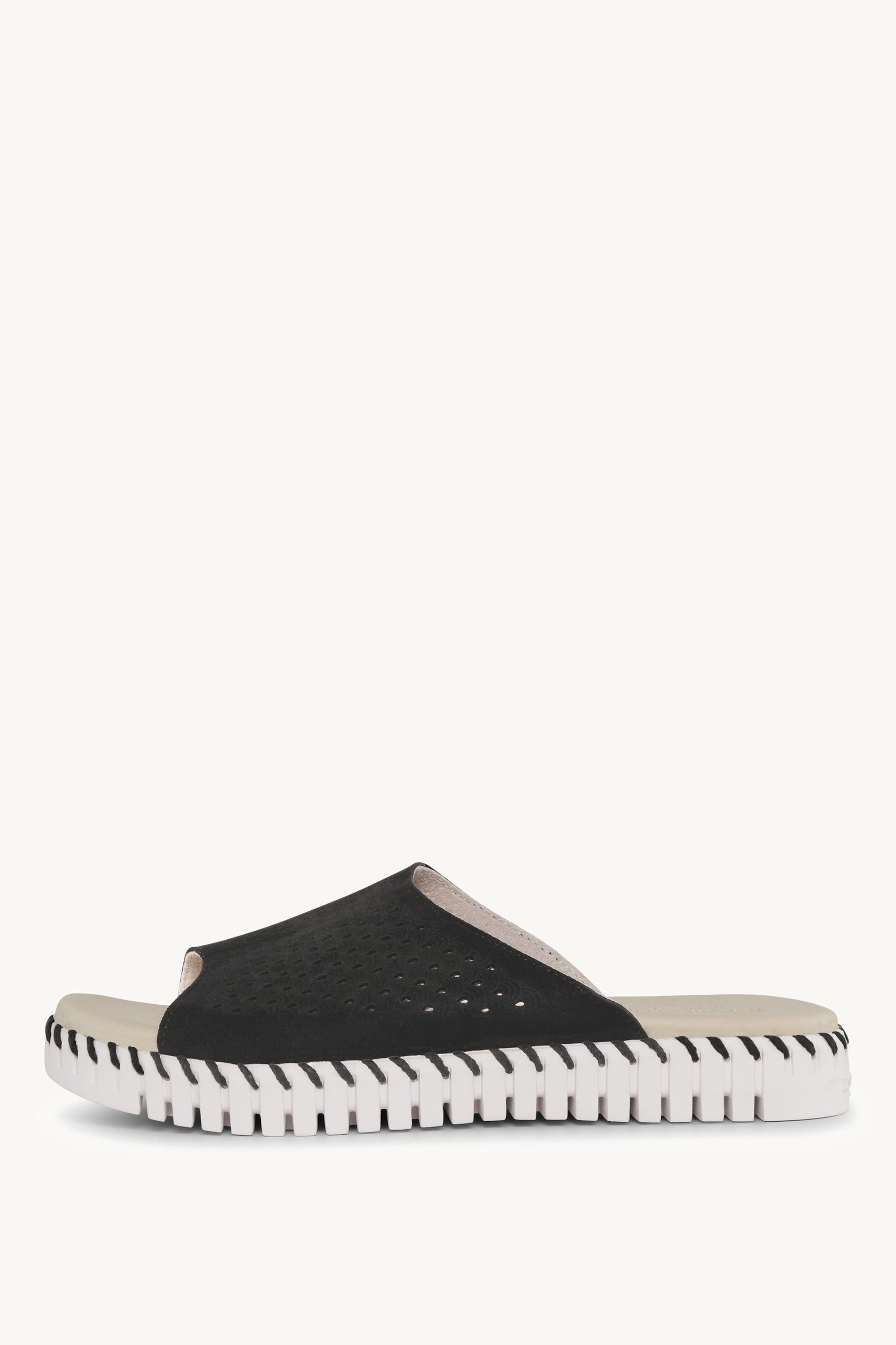 TULIP1375 BLACK