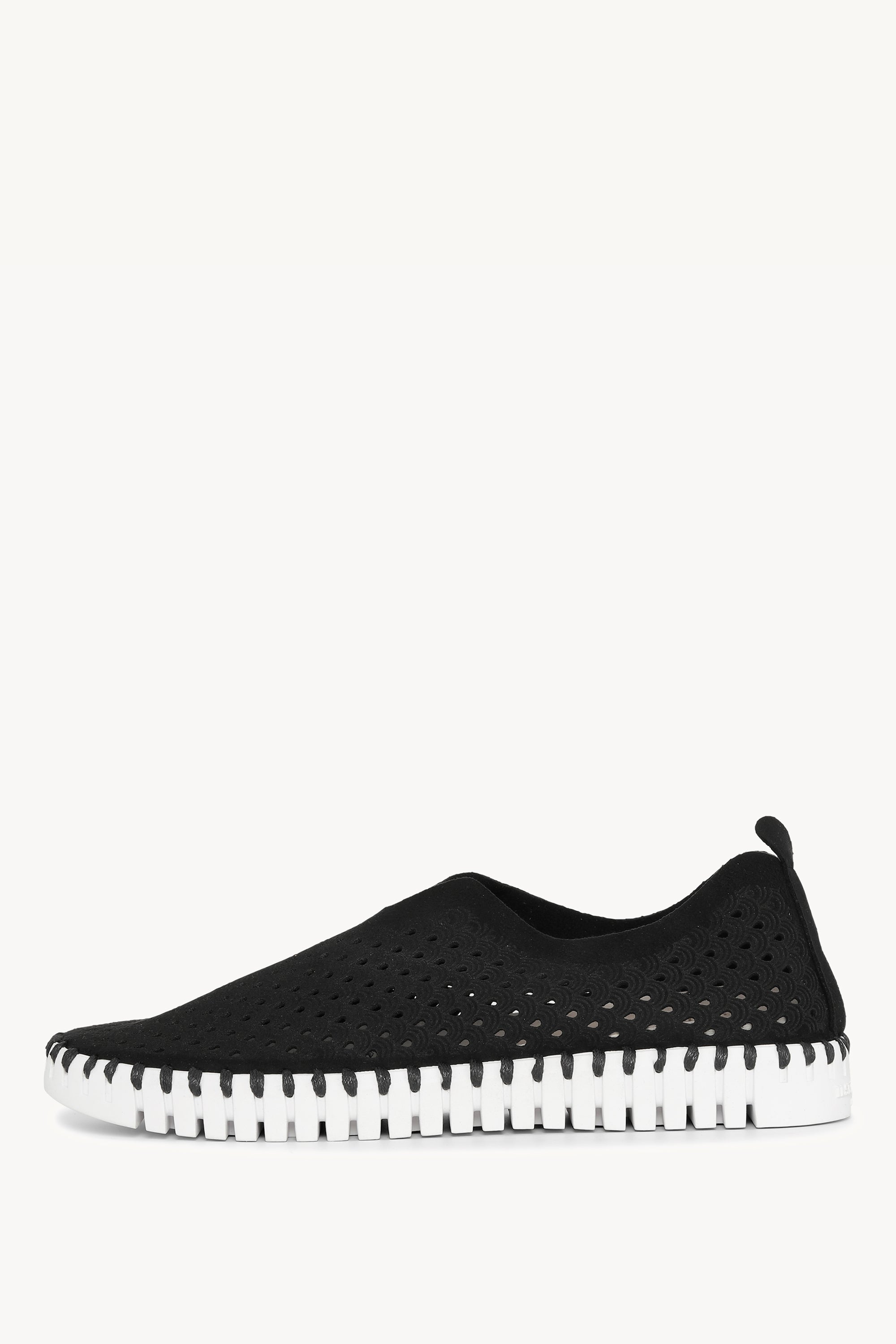 TULIP139 BLACK