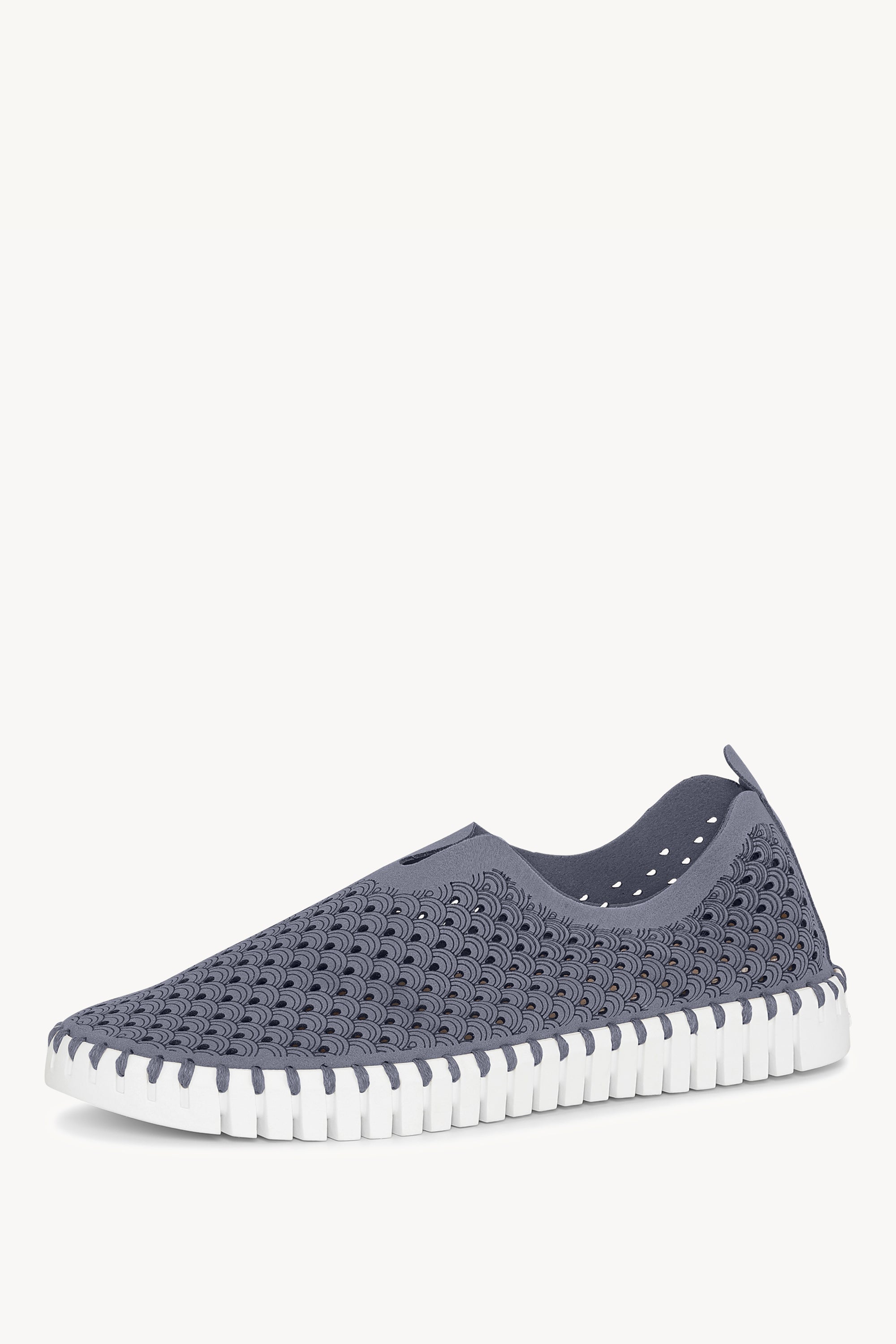 TULIP139 GREY BLUE