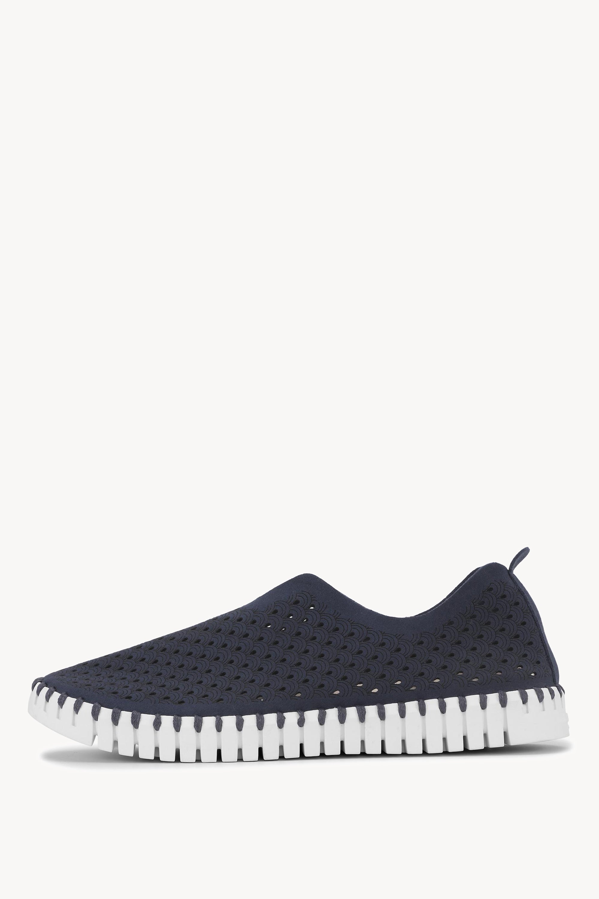 TULIP139 DARK INDIGO