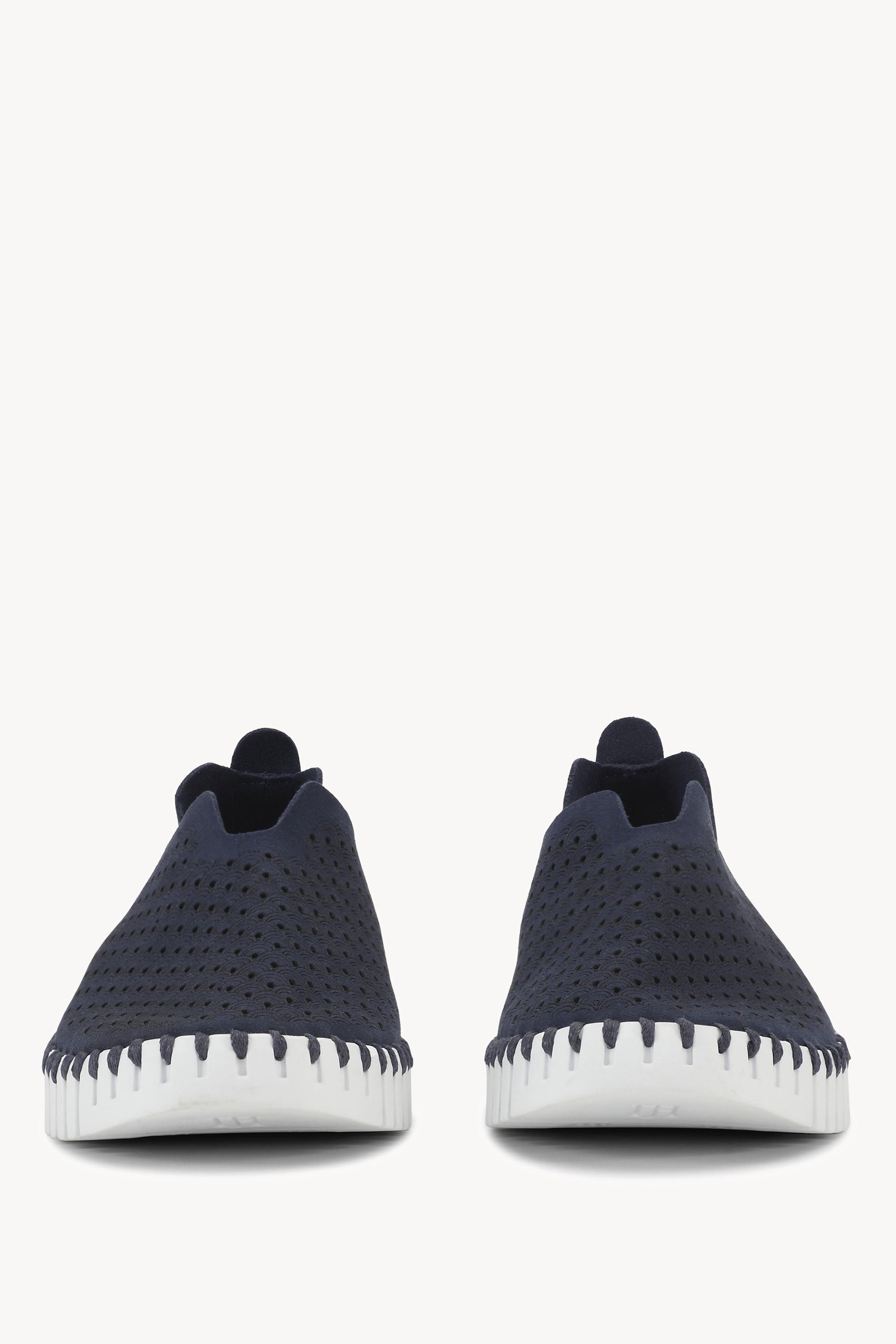 TULIP139 DARK INDIGO