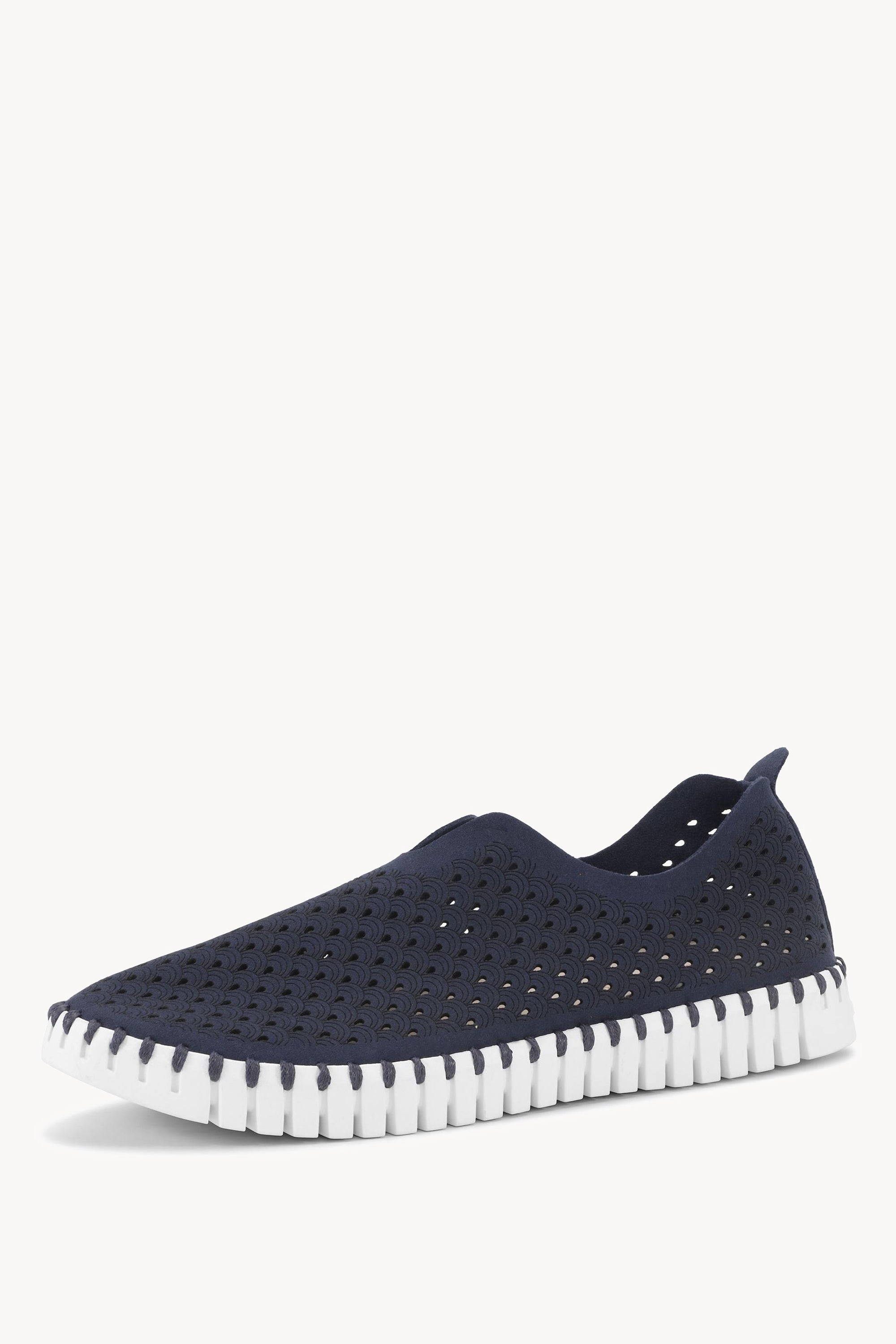 TULIP139 DARK INDIGO