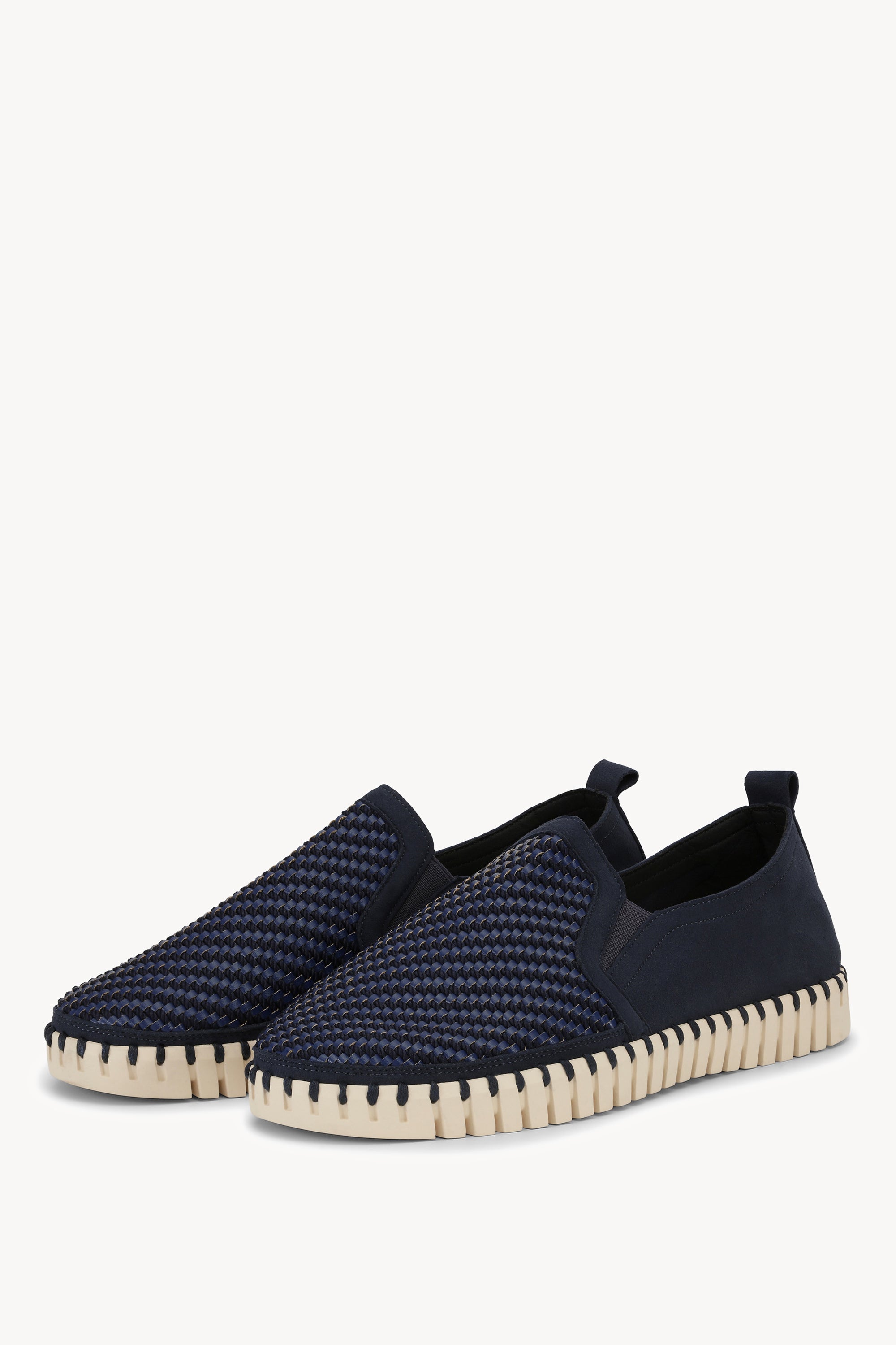 TULIP143MEN DARK INDIGO PEARLED IVORY