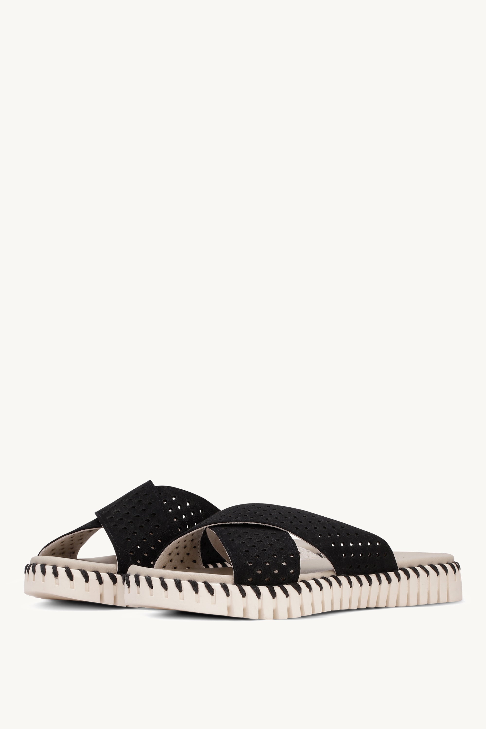 TULIP1575 BLACK