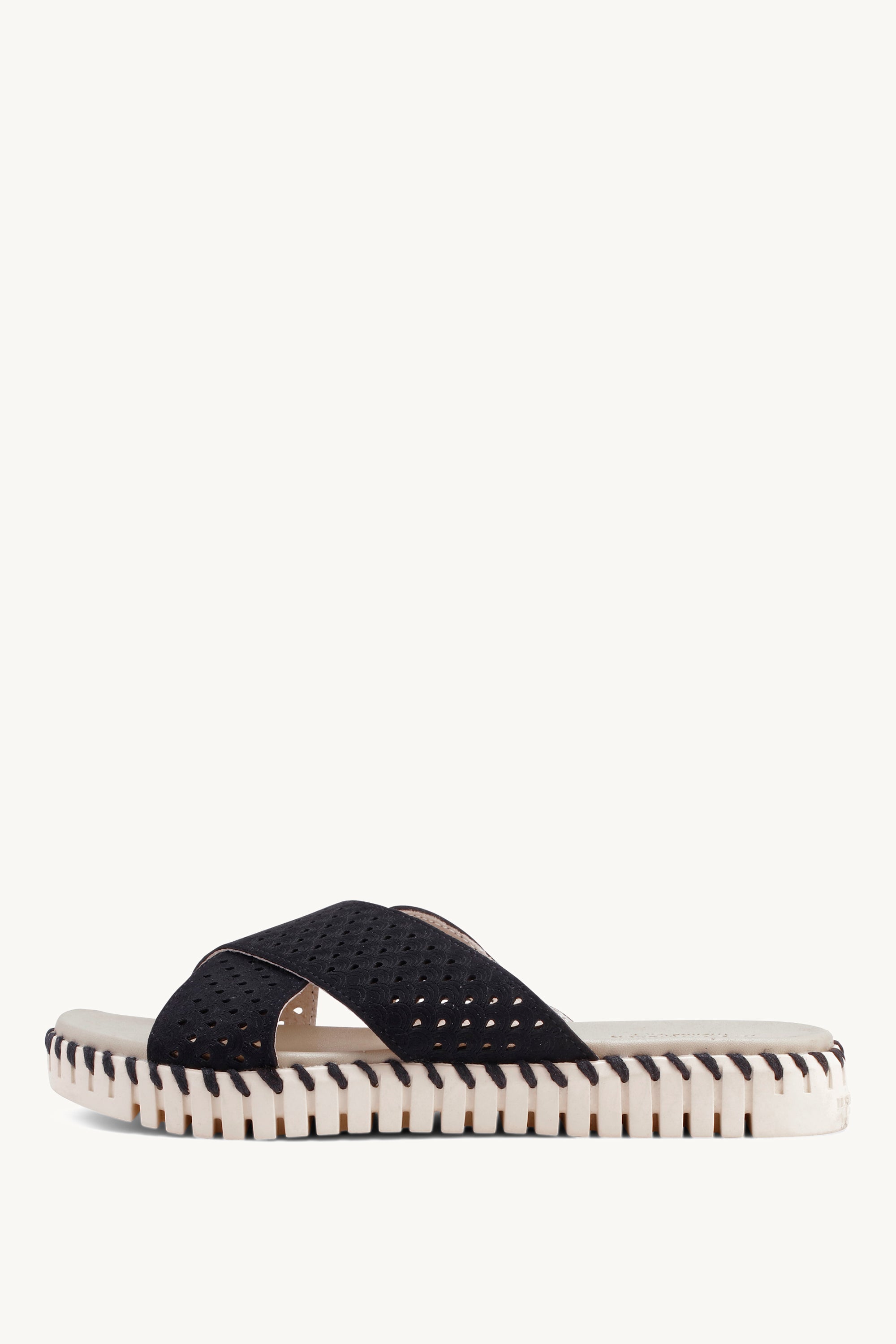 TULIP1575 BLACK