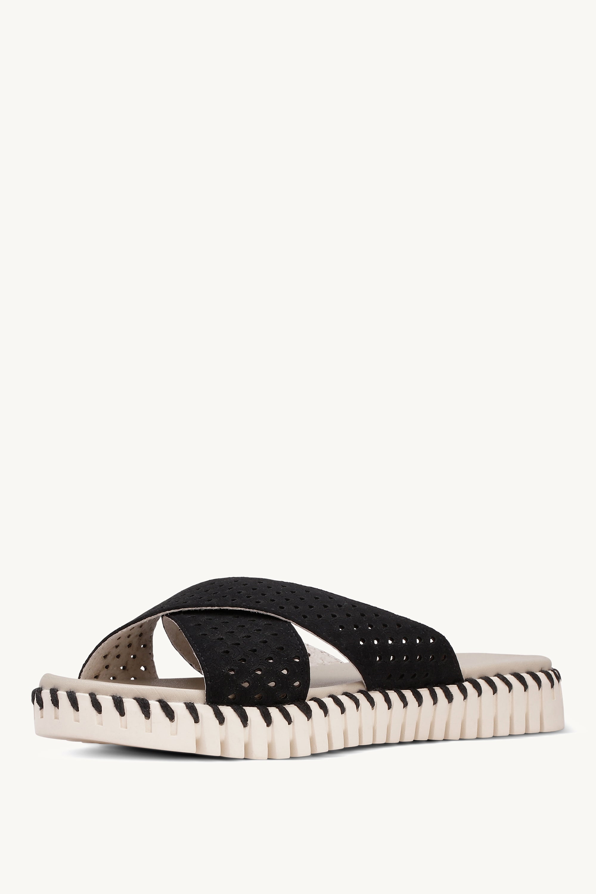 TULIP1575 BLACK