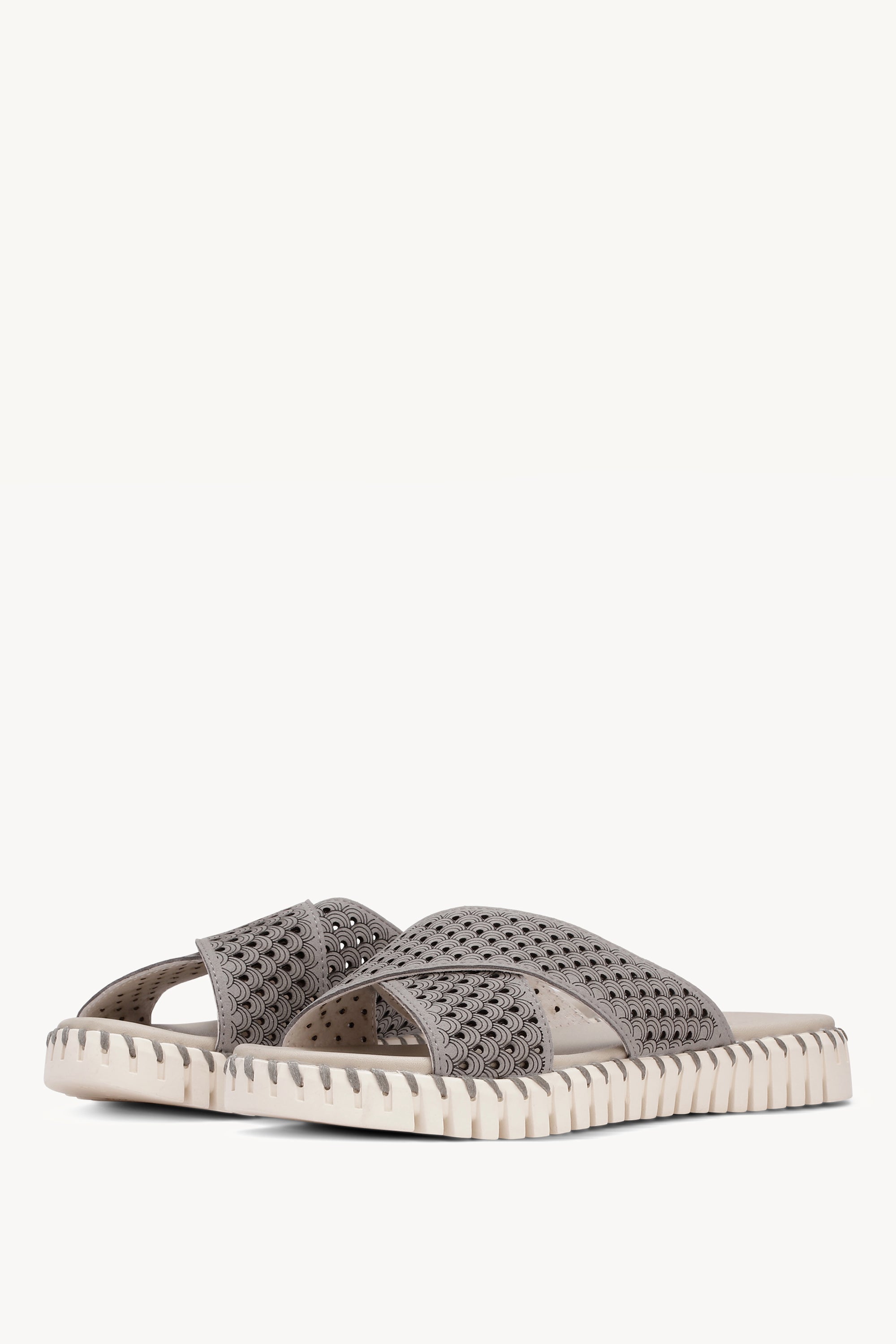 TULIP1575 GREY