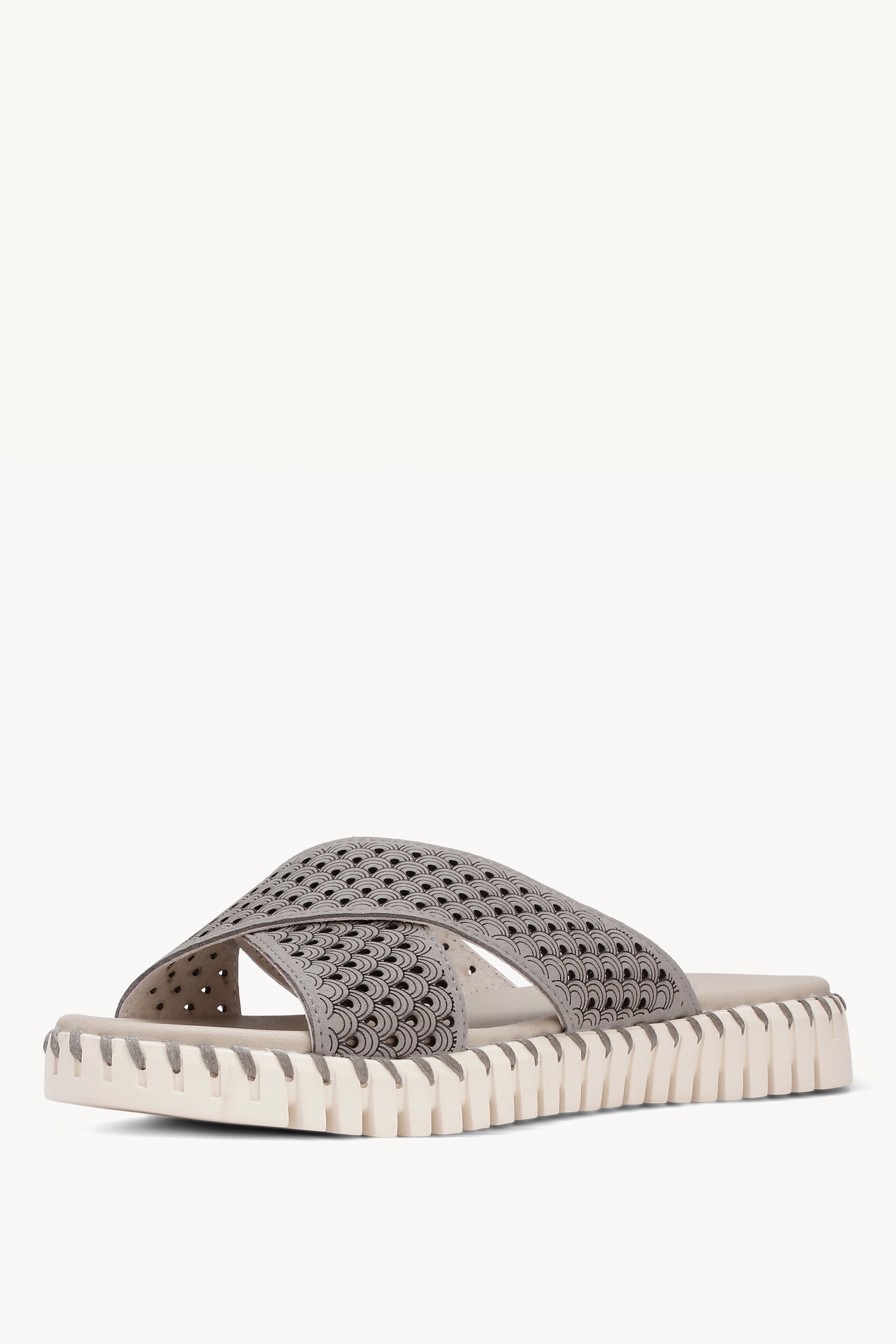 TULIP1575 GREY
