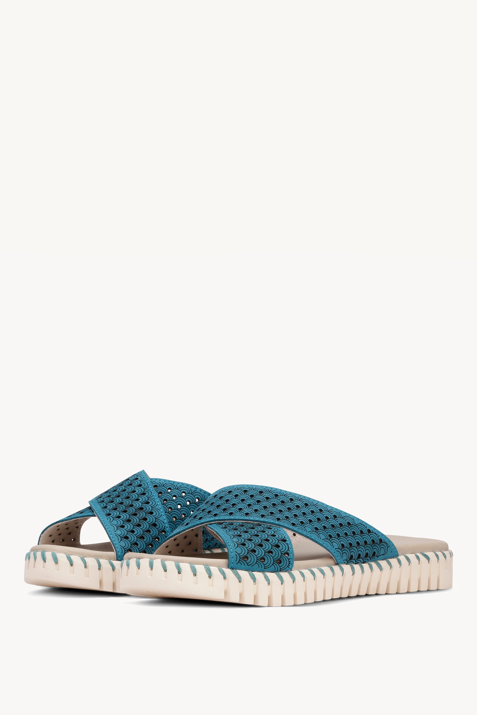 TULIP1575 ELECTRIC BLUE