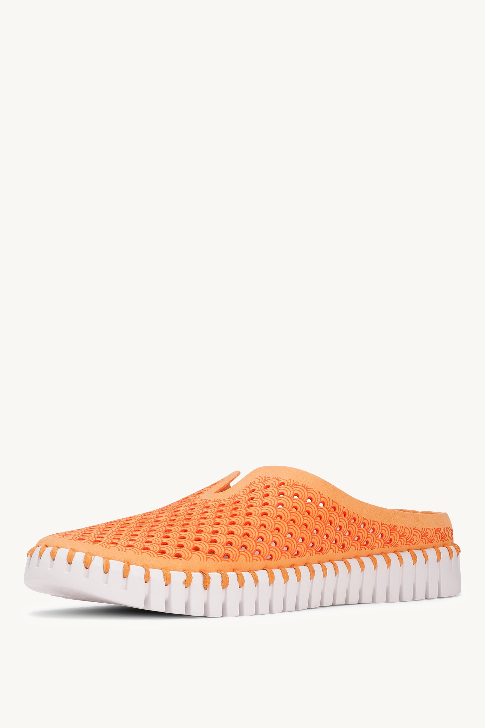TULIP3071 MANGO SORBET