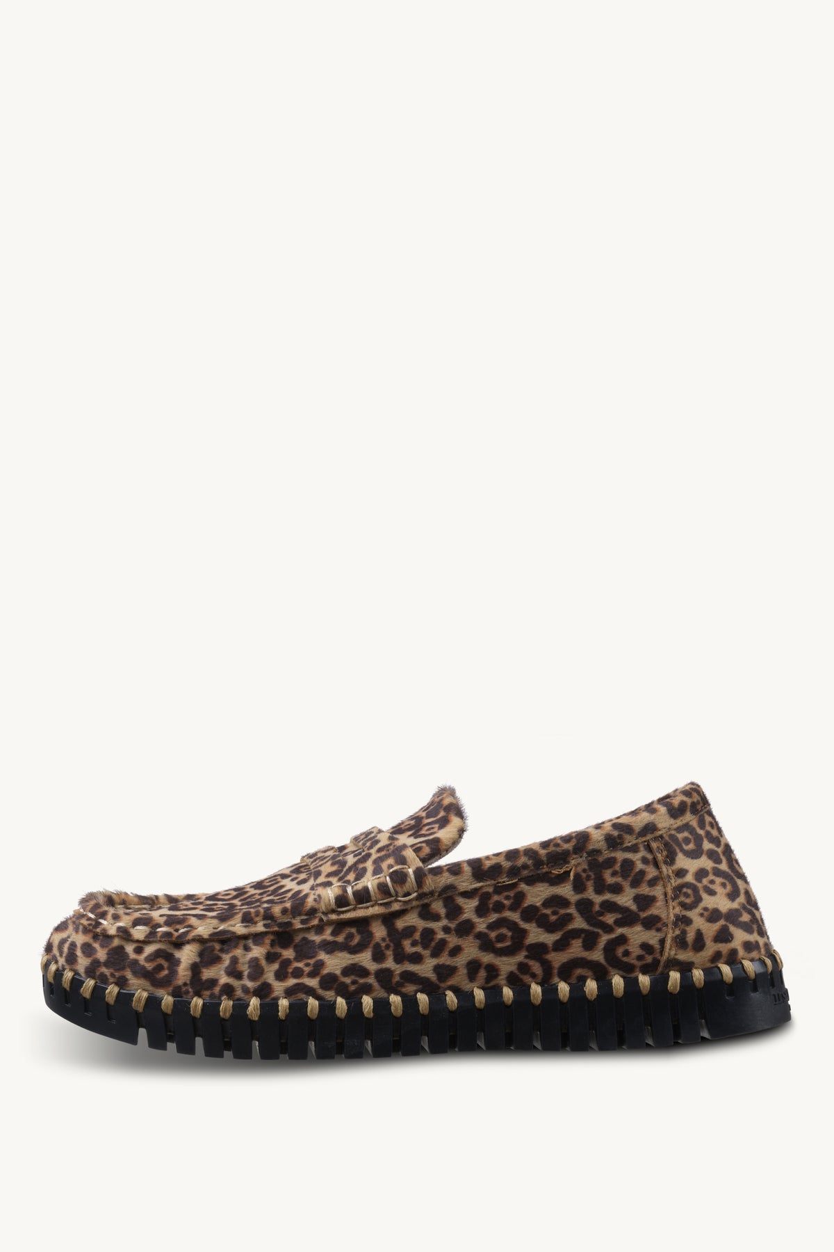 TULIP3222 ANIMAL BLACK