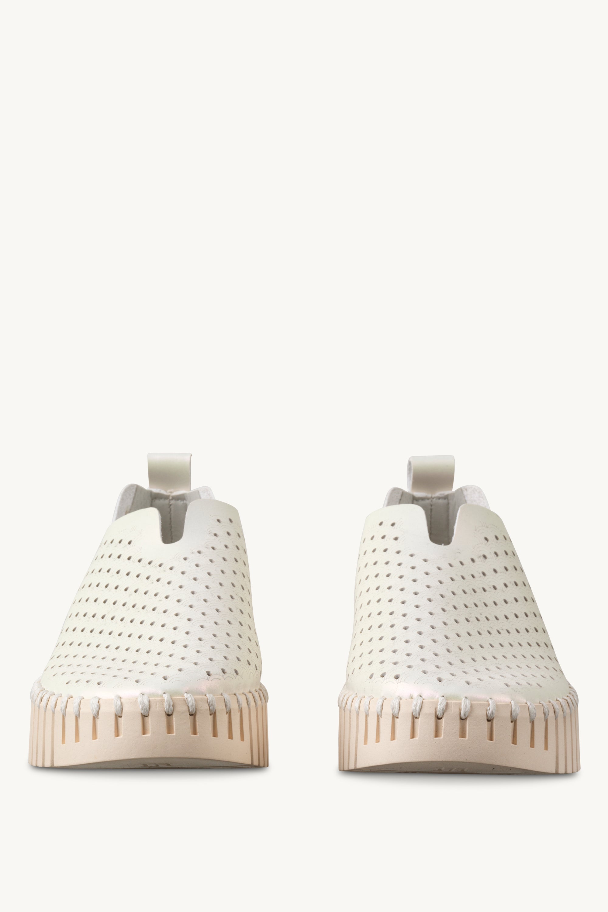 TULIP3230 WHITECAP PEARLED IVORY