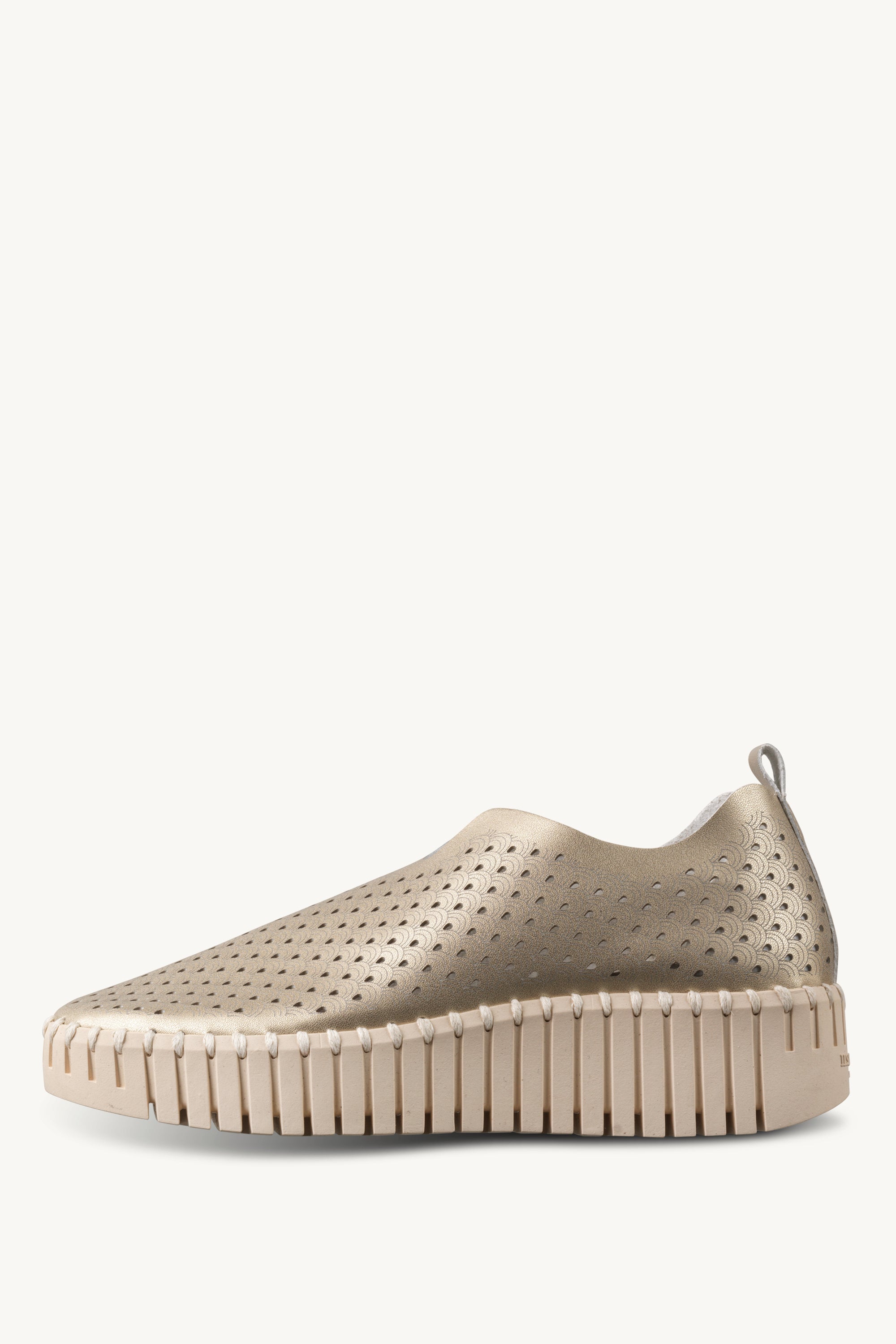 TULIP3230 PLATIN PEARLED IVORY