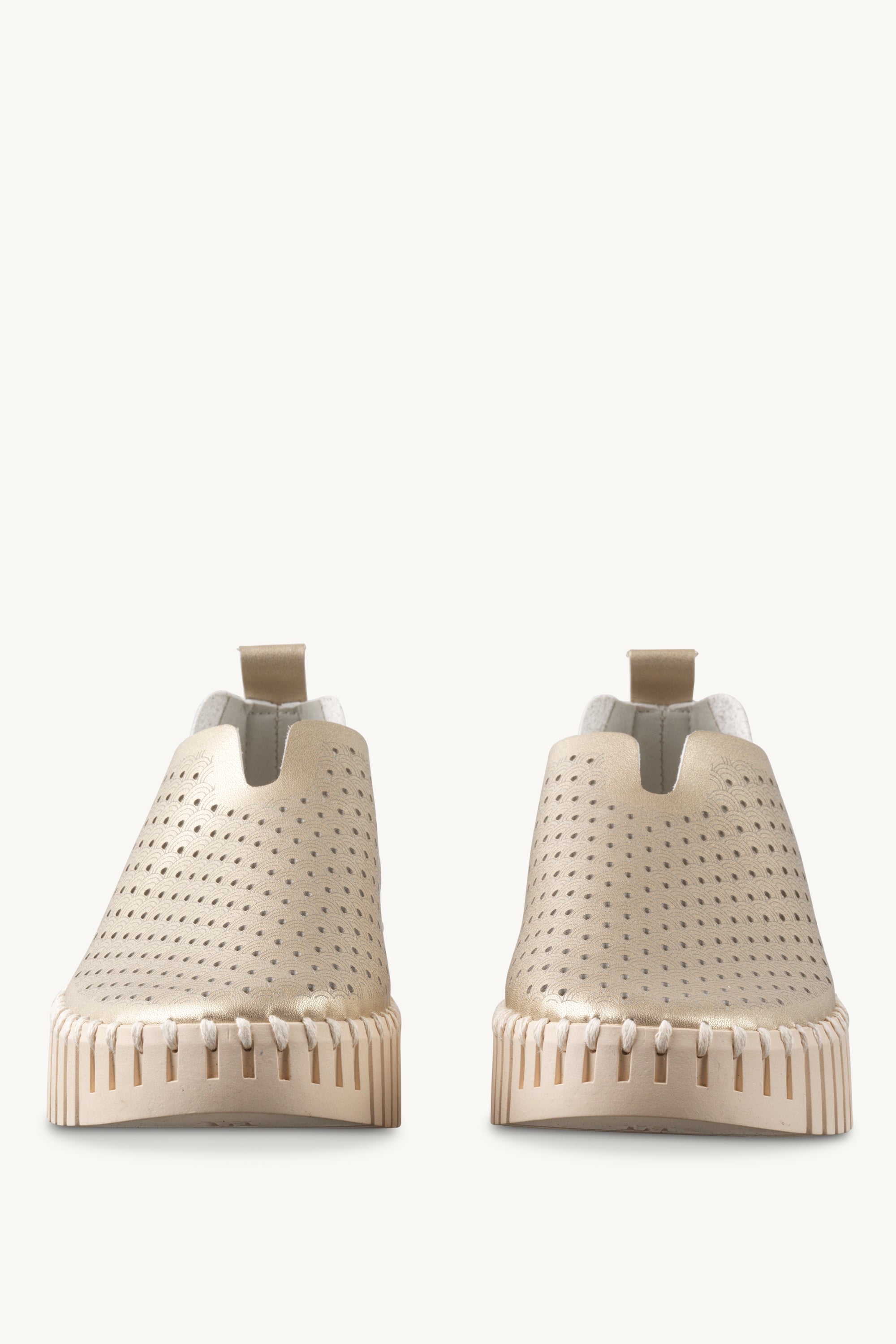 TULIP3230 PLATIN PEARLED IVORY